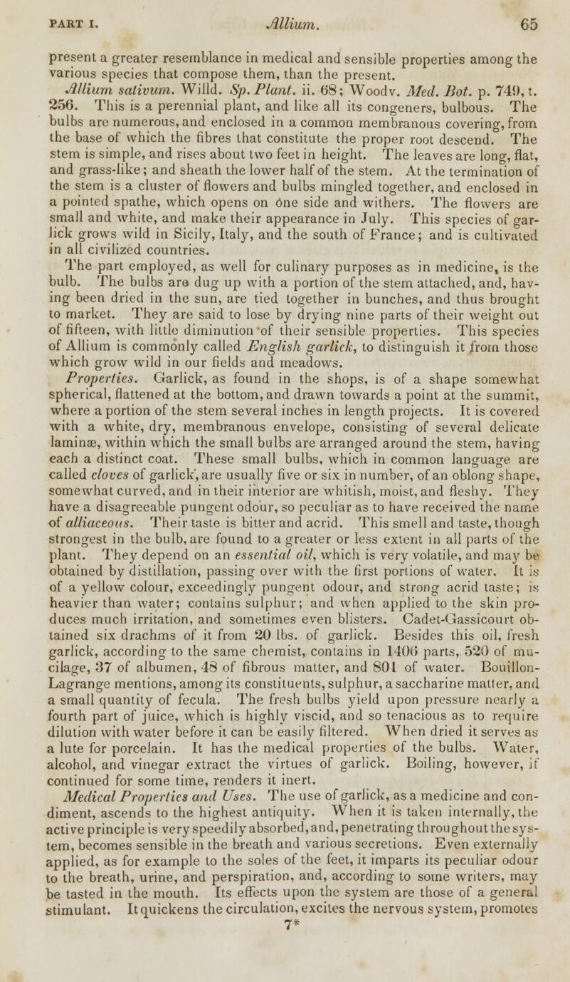 present a greater resemblance in medical and sensible properties among the various species that compose them, than the present. Jlllium. sativum. Willd. Sp. Plant, ii. 68; Woodv. Med. Bot. p. 749, t. 256. This is a perennial plant, and like all its congeners, bulbous. The bulbs are numerous, and enclosed in a common membranous covering, from the base of which the fibres that constitute the proper root descend. The stem is simple, and rises about two feet in height. The leaves are long, flat, and grass-like; and sheath the lower half of the stem. At the termination of the stem is a cluster of flowers and bulbs mingled together, and enclosed in a pointed spathe, which opens on One side and withers. The flowers are small and white, and make their appearance in July. This species of gar- lick grows wild in Sicily, Italy, and the south of France; and is cultivated in all civilized countries. The part employed, as well for culinary purposes as in medicine, is the bulb. The bulbs are- dug up with a portion of the stem attached, and, hav- ing been dried in the sun, are tied together in bunches, and thus brought to market. They are said to lose by drying nine parts of their weight out of fifteen, with little diminution-of their sensible properties. This species of Allium is commonly called English garlick, to distinguish it from those which grow wild in our fields and meadows. Properties. Garlick, as found in the shops, is of a shape somewhat spherical, flattened at the bottom, and drawn towards a point at the summit, where a portion of the stem several inches in length projects. It is covered with a white, dry, membranous envelope, consisting of several delicate lamina?, within which the small bulbs are arranged around the stem, having each a distinct coat. These small bulbs, which in common language are called cloves of garlick, are usually five or six in number, of an oblong shape, somewhat curved, and in their interior are whitish, moist, and fleshy. They have a disagreeable pungent odour, so peculiar as to have received the name of alliaceous. Their taste is bitter and acrid. This smell and taste, though strongest in the bulb, are found to a greater or less extent in all parts of the plant. They depend on an essential oil, which is very volatile, and may be obtained by distillation, passing over with the first portions of water. It is of a yellow colour, exceedingly pungent odour, and strong acrid taste; is heavier than water; contains sulphur; and when applied to the skin pro- duces much irritation, and sometimes even blisters. Cadet-Gassicourt ob- tained six drachms of it from 20 lbs. of garlick. Besides this oil, fresh garlick, according to the same chemist, contains in 1406 parts, 520 of mu- cilage, 37 of albumen, 48 of fibrous matter, and 801 of water. Bouillon- Lagrange mentions, among its constituents, sulphur, a saccharine matter, and a small quantity of fecula. The fresh bulbs yield upon pressure nearly a fourth part of juice, which is highly viscid, and so tenacious as to require dilution with water before it can be easily filtered. When dried it serves as a lute for porcelain. It has the medical properties of the bulbs. Water, alcohol, and vinegar extract the virtues of garlick. Boiling, however, if continued for some time, renders it inert. Medical Properties and Uses. The use of garlick, as a medicine and con- diment, ascends to the highest antiquity. When it is taken internally, the active principle is very speedily absorbed, and, penetrating throughout the sys- tem, becomes sensible in the breath and various secretions. Even externally applied, as for example to the soles of the feet, it imparts its peculiar odour to the breath, urine, and perspiration, and, according to some writers, may be tasted in the mouth. Its effects upon the system are those of a general stimulant. It quickens the circulation, excites the nervous system, promotes 7*