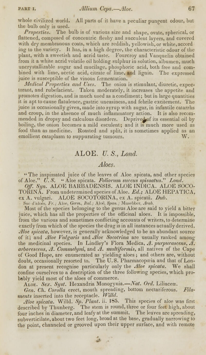 whole civilized world. All parts of it have a peculiar pungent odour, but the bulb only is used. Properties. The bulb is of various size and shape, ovate, spherical, or flattened, composed of concentric fleshy and succulent layers, and covered with dry membranous coats, which are reddish, yellowish, or white,accord ing to the variety. It has, in a high degree, the characteristic odour of the plant, with a sweetish and acrid taste. Fourcroy and Vanquelin obtained from it a white acrid volatile oil holding sulphur in solution, albumen, much uncrystallizable sugar and mucilage, phosphoric acid, both free and com- bined with lime, acetic acid, citrate of lime, and lignin. The expressed juice is susceptible of the vinous fermentation. Medical Properties and Uses. The onion is stimulant, diuretic, expec- torant, and rubefacient. Taken moderately, it increases the appetite and promotes digestion, and is much used as a condiment; but in large quantities it is apt to cause flatulence, gastric uneasiness, and febrile excitement. The juice is occasionally given, made into syrup with sugar, in infantile catarrhs and croup, in the absence of much inflammatory action. It is also recom- mended in dropsy and calculous disorders. Depriveiof its essential oil by boiling, the onion becomes a mild esculent; and it is much more used as food than as medicine. Roasted and split, it is sometimes applied as an emollient cataplasm to suppurating tumours. W. ALOE. U.S.,Lond. Aloes. The inspissated juice of the leaves of Aloe spicata, and other species of Aloe. U. S.  Aloe spicata. Foliorum succus spissatus. Lond. Off. Syn. ALOE BARBADENSIS. ALOE INDICA. ALOE SOCO- TORINA. From undetermined species of Aloe. Ed.; ALOE HEPATICA, ex A. vuigari. ALOE SOCOTORINA, ex A. spicata. Dub. Sue d'aloes, Fr.; Aloe, Germ., Ital.; Aloe, Span.; Musebber, Arab. Most of the species belonging to the genus Aloe are said to yield a bitter juice, which has all the properties of the officinal aloes. It is impossible, from the various and sometimes conflicting accounts of writers, to determine exactly from which of the species the drug is in all instances actually derived. Aloe spicata, however, is generally acknowledged to be an abundant source of it; and Aloe Vulgaris and Aloe Socotrina are usually ranked among the medicinal species. In Lindley's Flora Medica, A. purpurascens, A. arborescens, A. Commelyni, and A. multiformis, all natives of the Cape of Good Hope, are enumerated as yielding aloes; and others are, without doubt, occasionally resorted to. The U.S. Pharmacopoeia and that of Lon- don at present recognise particularly only the Aloe spicata. We shall confine ourselves to a description of the three following species, which pro- bably yield most of the aloes of commerce. Aloe. Sex. Syst. Hexandria Monogynia.—Nat. Ord. Liliaceas. Gen. Ch. Corolla erect, mouth spreading, bottom nectariferous. Fila- ments inserted into the receptacle. Willd. Aloe spicata. Willd. Sp. Plant, ii. 185. This species of aloe was first described by Thunberg. The stem is round, three or four feet high, about four inches in diameter, and leafy at the summit. The leaves are spreading, subverticilate, about two feet long, broad at the base, gradually narrowing to the point, channeled or grooved upon their upper surface, and with remote