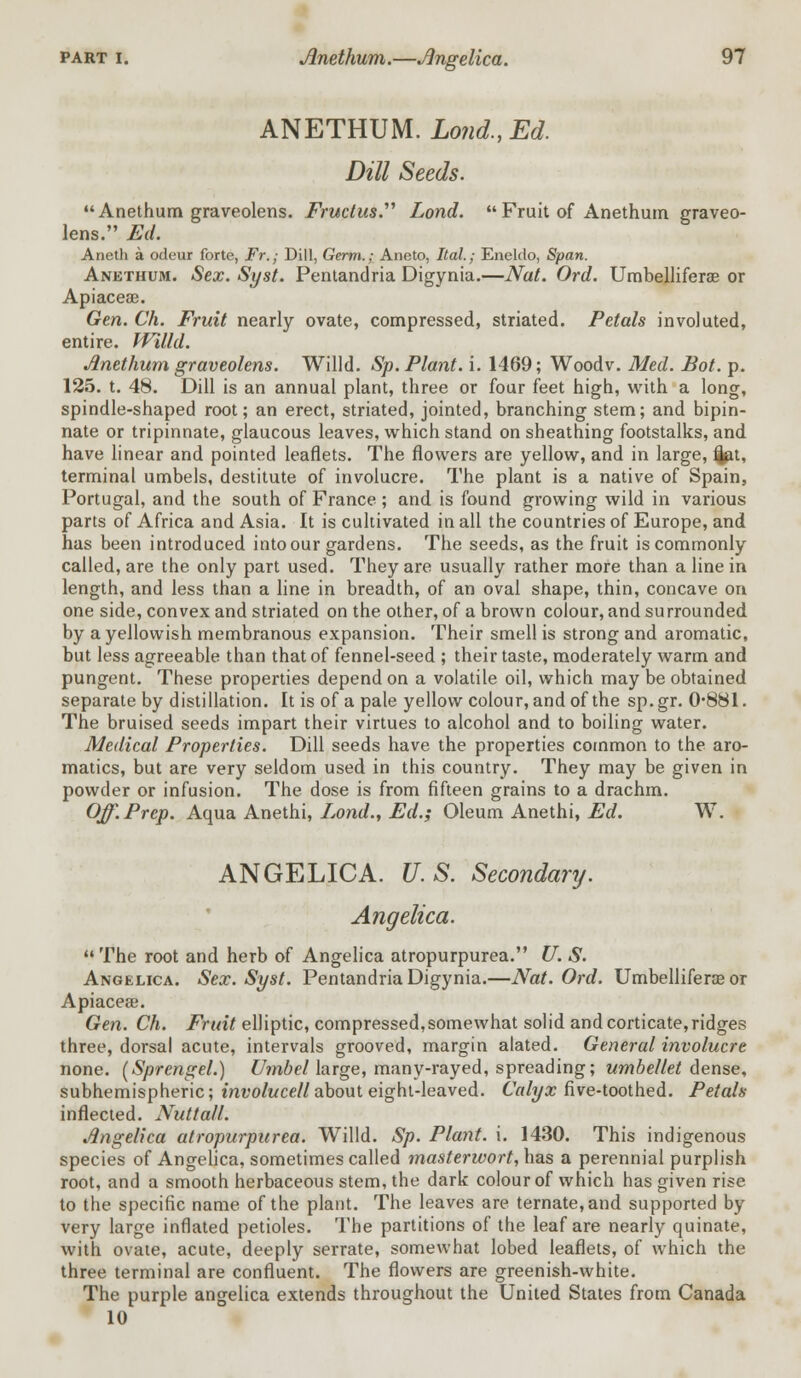 ANETHUM. Loud., Ed. Dill Seeds. Anethum graveolens. Fructus. Lond.  Fruit of Anethum graveo- lens. Ed. Aneth a odeur forte, Fr.; Dill, Germ.; Aneto, Ital.; Eneldo, Span. Anethum. Sex. Syst. Pentandria Digynia.—Nat. Ord. Umbellifera? or Apiaceae. Gen. Ch. Fruit nearly ovate, compressed, striated. Petals involuted, entire. Willd. Anethum graveolens. Willd. Sp. Plant, i. 1469; Woodv. Med. Pot. p. 125. t. 48. Dill is an annual plant, three or four feet high, with a long, spindle-shaped root; an erect, striated, jointed, branching stem; and bipin- nate or tripinnate, glaucous leaves, which stand on sheathing footstalks, and have linear and pointed leaflets. The flowers are yellow, and in large, ilat, terminal umbels, destitute of involucre. The plant is a native of Spain, Portugal, and the south of France ; and is found growing wild in various parts of Africa and Asia. It is cultivated in all the countries of Europe, and has been introduced into our gardens. The seeds, as the fruit is commonly called, are the only part used. They are usually rather more than a line in length, and less than a line in breadth, of an oval shape, thin, concave on one side, convex and striated on the other, of a brown colour, and surrounded by a yellowish membranous expansion. Their smell is strong and aromatic, but less agreeable than that of fennel-seed ; their taste, moderately warm and pungent. These properties depend on a volatile oil, which may be obtained separate by distillation. It is of a pale yellow colour, and of the sp. gr. 0881. The bruised seeds impart their virtues to alcohol and to boiling water. Medical Properties. Dill seeds have the properties common to the aro- matics, but are very seldom used in this country. They may be given in powder or infusion. The dose is from fifteen grains to a drachm. Off.Prep. Aqua Anethi, Lond., Ed.; Oleum Anethi, Ed. W. ANGELICA. U.S. Secondary. Angelica. The root and herb of Angelica atropurpurea. U. S. Angelica. Sex. Syst. Pentandria Digynia.—Nat. Ord. Umbellifera? or Apiaceae. Gen. Ch. Fruit elliptic, compressed,somewhat solid and corticate,ridges three, dorsal acute, intervals grooved, margin alated. General involucre none. (Sprengel.) Umbel large, many-rayed, spreading; umbellet dense, subhemispheric; involucell about eight-leaved. Calyx five-toothed. Petals inflected. Nuttall. Angelica atropurpurea. Willd. Sp. Plant, i. 1430. This indigenous species of Angelica, sometimes called rnasterwort, has a perennial purplish root, and a smooth herbaceous stem, the dark colour of which has given rise to the specific name of the plant. The leaves are ternate,and supported by very large inflated petioles. The partitions of the leaf are nearly quinate, with ovate, acute, deeply serrate, somewhat lobed leaflets, of which the three terminal are confluent. The flowers are greenish-white. The purple angelica extends throughout the United States from Canada 10