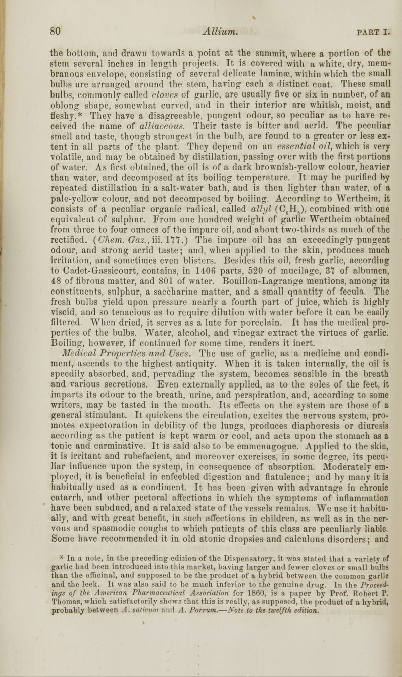 the bottom, and drawn towards a point at the summit, where a portion of the stem several inches in length projects. It is covered with a white, dry, mem- branous envelope, consisting of several delicate laminae, within which the small bulbs are arranged around the stem, having each a distinct coat. These small bulbs, commonly called cloves of garlic, are usually five or six in number, of an oblong shape, somewhat curved, and in their interior are whitish, moist, and fleshy.* They have a disagreeable, pungent odour, so peculiar as to have re- ceived the name of alliaceous. Their taste is bitter and acrid. The peculiar smell and taste, though strongest in the bulb, are found to a greater or less ex- tent in all parts of the plant. They depend on an essential oil, which is very volatile, and may be obtained by distillation, passing over with the first portions of water. As first obtained, the oil is of a dark brownish-yellow colour, heavier than water, and decomposed at its boiling temperature. It may be purified by repeated distillation in a salt-water bath, and is then lighter than water, of a pale-yellow colour, and not decomposed by boiling. According to Wertheim, it consists of a peculiar organic radical, called allyl (CfiH5), combined with one equivalent of sulphur. From one hundred weight of garlic Wertheim obtained from three to four ounces of the impure oil, and about two-thirds as much of the rectified. (CJiem. Gaz., iii. 171.) The impure oil has an exceedingly pungent odour, and strong acrid taste; and, when applied to the skin, produces much irritation, and sometimes even blisters. Besides this oil, fresh garlic, according to Cadet-Gassicourt, contains, in 1406 parts, 520 of mucilage, 37 of albumen, 48 of fibrous matter, and 801 of water. Bouillon-Lagrange mentions, among its constituents, sulphur, a saccharine matter, and a small quantity of fecula. The fresh bulbs yield upon pressure nearly a fourth part of juice, which is highly viscid, and so tenacious as to require dilution with water before it can be easily filtered. When dried, it serves as a lute for porcelain. It has the medical pro- perties of the bulbs. Water, alcohol, and vinegar extract the virtues of garlic. Boiling, however, if continued for some time, renders it inert. Medical Properties and Uses. The use of garlic, as a medicine and condi- ment, ascends to the highest antiquity. When it is taken internally, the oil is speedily absorbed, and, pervading the system, becomes sensible in the breath and various secretions. Even externally applied, as to the soles of the feet, it imparts its odour to the breath, urine, and perspiration, and, according to some writers, may be tasted in the mouth. Its effects on the system are those of a general stimulant. It quickens the circulation, excites the nervous system, pro- motes expectoration in debility of the lungs, produces diaphoresis or diuresis according as the patient is kept warm or cool, and acts upon the stomach as a tonic and carminative. It is said also to be emmenagogue. Applied to the skin, it is irritant and rubefacient, and moreover exercises, in some degree, its pecu- liar influence upon the system, in consequence of absorption. Moderately em- ployed, it is beneficial in enfeebled digestion and flatulence; and by many it is habitually used as a condiment. It has been given with advantage in chronic catarrh, and other pectoral affections in which the symptoms of inflammation have been subdued, and a relaxed state of the vessels remains. We use it habitu- ally, and with great benefit, in such affections in children, as well as in the ner- vous and spasmodic coughs to which patients of this class are peculiarly liable. Some have recommended it in old atonic dropsies and calculous disorders; and * In a note, in the preceding edition of the Dispensatory, it was stated that a variety of garlic had been introduced into this market, having larger and fewer cloves or small bulbs than the officinal, and supposed to be the product of a hybrid between the common garlic and the leek. It was also said to be much inferior to the genuine drug. In the Proceed- ings of the American Pharmaceutical Association for 1860, is a paper by Prof. Robert P. Thomas, which satisfactorily show3 that this is really, as supposed, the product of a hybrid, probably between A. sativum and A. Porrum.—Note to the twelfth edition.