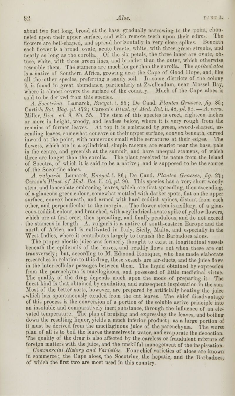 about two feet long, broad at the base, gradually narrowing to the point, chan- neled upon their upper surface, and with remote teeth upon their edges. The flowers are bell-shaped, and spread horizontally in very close spikes. Beneath each flower is a broad, ovate, acute bracte, white, with three green streaks, and nearly as long as the corolla. Of the six petals, the three inner are ovate, ob- tuse, white, with three green lines, and broader than the outer, which otherwise resemble them. The stamens are much longer than the corolla. The spiked aloe is a native of Southern Africa, growing near the Cape of Good Hope, and, like all the other species, preferring a sandy soil. In some districts of the colony it is found in great abundance, particularly at Zwellendam, near Mossel Bay, where it almost covers the surface of the country. Much of the Cape aloes is said to be derived from this species. A. Socolrina. Lamarck, Encycl. i. 85; De Cand. Planter Grasses, fig. 85; Curtis's Bot. Mag. pi. 472; Carson's lllust. of Med. Bol. ii. 48, pi. 92. —A. vera. Miller, Diet., ed. 8, No. 55. The stem of this species is erect, eighteen inches or more in height, woody, and leafless below, where it is very rough from the remains of former leaves. At top it is embraced by green, sword-shaped, as- cending leaves, somewhat concave on their upper surface, convex beneath, curved inward at the point, with numerous small white serratures at their edges. The flowers, which are in a cylindrical, simple raceme, are scarlet near the base, pale in the centre, and greenish at the summit, and have unequal stamens, of which three are longer than the corolla. The plant received its name from the Island of Socotra, of which it is said to be a native; and is supposed to be the source of the Socotrine aloes. A. vulgaris. Lamarck, Encycl. i. 86; De Cand. Plantes Grasses, fig. 27; Carson's lllust. of Med. Bot. ii. 46, pi- 90. This species has a very short woody stem, and lanceolate embracing leaves, which are first spreading, then ascending, of a glaucous-green colour, somewhat mottled with darker spots, flat on the upper surface, convex beneath, and armed with hard reddish spines, distant from each other, and perpendicular to the margin. The flower-stem is axillary, of a glau- cous-reddish colour, and branched, with a cylindrical-ovate spike of yellow flowers, which are at first erect, then spreading, and finally pendulous, and do not exceed the stamens in length. A. vulgaris is a native of south-eastern Europe and the north of Africa, and is cultivated in Italy, Sicily, Malta, and especially in the West Indies, where it contributes largely to furnish the Barbadoes aloes. The proper aloetic juice was formerly thought to exist in longitudinal vessels beneath the epidermis of the leaves, and readily flows out when these are cut transversely; but, according to M. Edmond Robiquet, who has made elaborate researches in relation to this drug, these vessels are air-ducts, and the juice flows in the inter-cellular passages between them. The liquid obtained by expression from the parenchyma is mucilaginous, and possessed of little medicinal virtue. The quality of the drug depends much upon the mode of preparing it. The finest kind is that obtained by exudation, and subsequent inspissation in the sun. Most of the better sorts, however, are prepared by artificially heating the juice .which has spontaneously exuded from the cut leaves. The chief disadvantage of this process is the conversion of a portion of the soluble active principle into an insoluble and comparatively inert substance, through the influence of an ele- vated temperature. The plan of bruising and expressing the leaves, and boiling down the resulting liquor, yields a much inferior product; as a large portion of it must be derived from the mucilaginous juice of the parenchyma. The worst plan of all is to boil the leaves themselves in water, and evaporate the decoction. The quality of the drug is also affected by the careless or fraudulent mixture of foreign matters with the juice, and the unskilful management of the inspissation. Commercial History and Varieties. Four chief varieties of aloes are known in commerce; the Cape aloes, the Socotrine, the hepatic, and the Barbadoes, of which the first two are most used in this country.