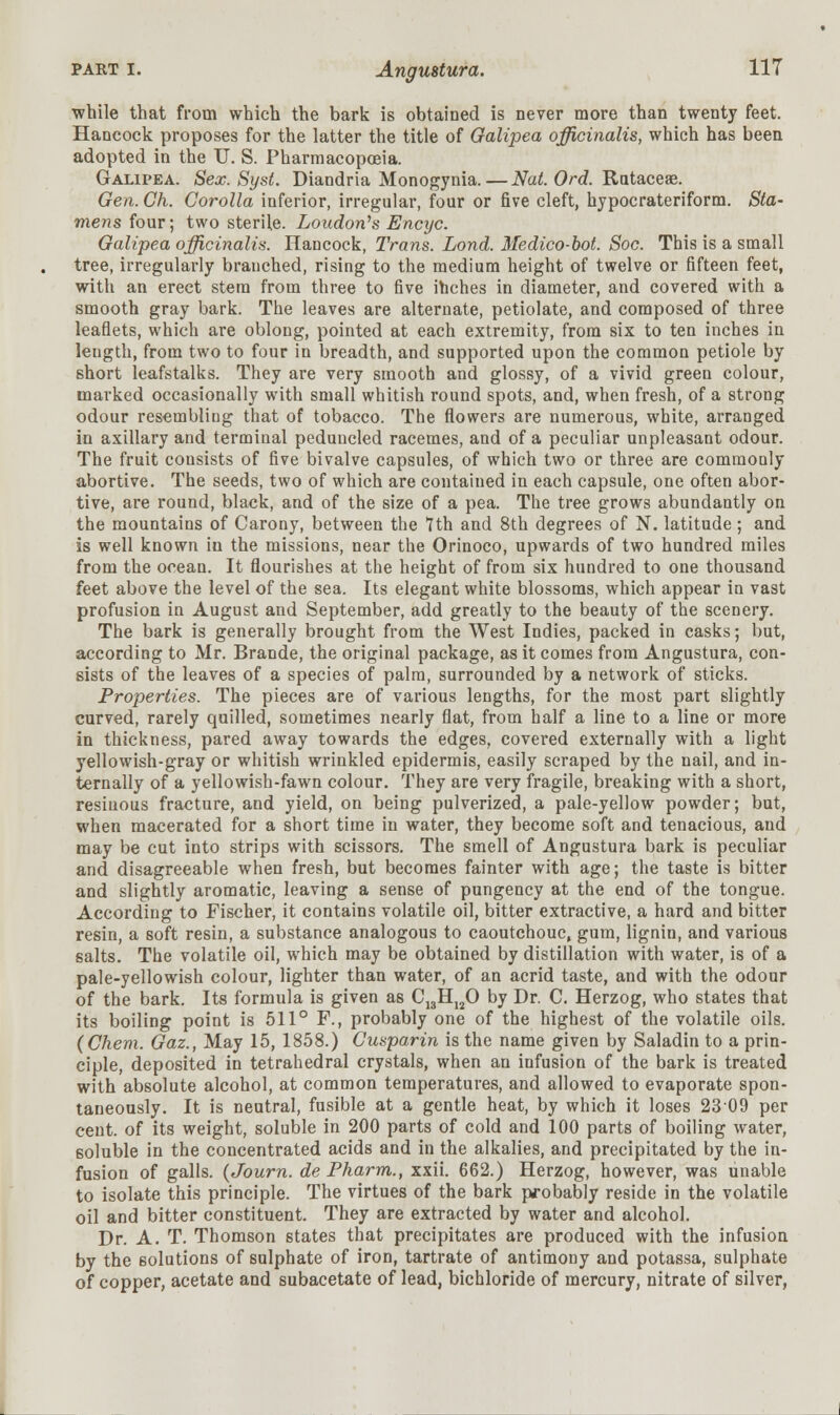 while that from which the bark is obtained is never more than twenty feet. Hancock proposes for the latter the title of Galipea officinalis, which has been adopted in the U. S. Pharmacopoeia. Galipea. Sex. Syst. Diandria Monogynia.—Nat. Ord. Rutaceae. Gen. Ch. Corolla inferior, irregular, four or five cleft, hypocrateriform. Sta- mens four; two sterile. Loudon1 s Encyc. Galipea officinalis. Hancock, Trans. Lond. Medico-bot. Soc. This is a small tree, irregularly branched, rising to the medium height of twelve or fifteen feet, with an erect stem from three to five inches in diameter, and covered with a smooth gray bark. The leaves are alternate, petiolate, and composed of three leaflets, which are oblong, pointed at each extremity, from six to ten inches in length, from two to four in breadth, and supported upon the common petiole by short leafstalks. They are very smooth and glossy, of a vivid green colour, marked occasionally with small whitish round spots, and, when fresh, of a strong odour resembliug that of tobacco. The flowers are numerous, white, arranged in axillary and terminal peduncled racemes, and of a peculiar unpleasant odour. The fruit consists of five bivalve capsules, of which two or three are commonly abortive. The seeds, two of which are contained in each capsule, one often abor- tive, are round, black, and of the size of a pea. The tree grows abundantly on the mountains of Carony, between the 7th and 8th degrees of N. latitude; and is well known in the missions, near the Orinoco, upwards of two hundred miles from the ocean. It flourishes at the height of from six hundred to one thousand feet above the level of the sea. Its elegant white blossoms, which appear in vast profusion in August and September, add greatly to the beauty of the scenery. The bark is generally brought from the West Indies, packed in casks; but, according to Mr. Brande, the original package, as it comes from Angustura, con- sists of the leaves of a species of palm, surrounded by a network of sticks. Properties. The pieces are of various lengths, for the most part slightly curved, rarely quilled, sometimes nearly flat, from half a line to a line or more in thickness, pared away towards the edges, covered externally with a light yellowish-gray or whitish wrinkled epidermis, easily scraped by the nail, and in- ternally of a yellowish-fawn colour. They are very fragile, breaking with a short, resinous fracture, and yield, on being pulverized, a pale-yellow powder; but, when macerated for a short time in water, they become soft and tenacious, and may be cut into strips with scissors. The smell of Angustura bark is peculiar and disagreeable when fresh, but becomes fainter with age; the taste is bitter and slightly aromatic, leaving a sense of pungency at the end of the tongue. According to Fischer, it contains volatile oil, bitter extractive, a hard and bitter resin, a soft resin, a substance analogous to caoutchouc, gum, lignin, and various salts. The volatile oil, which may be obtained by distillation with water, is of a pale-yellowish colour, lighter than water, of an acrid taste, and with the odour of the bark. Its formula is given as C13H120 by Dr. C. Herzog, who states that its boiling point is 511° F., probably one of the highest of the volatile oils. (Chem. Gaz., May 15, 1858.) Cusparin is the name given by Saladin to a prin- ciple, deposited in tetrahedral crystals, when an infusion of the bark is treated with absolute alcohol, at common temperatures, and allowed to evaporate spon- taneously. It is neutral, fusible at a gentle heat, by which it loses 23 09 per cent, of its weight, soluble in 200 parts of cold and 100 parts of boiling water, soluble in the concentrated acids and in the alkalies, and precipitated by the in- fusion of galls. (Journ. de Pharm., xxii. 662.) Herzog, however, was unable to isolate this principle. The virtues of the bark probably reside in the volatile oil and bitter constituent. They are extracted by water and alcohol. Dr. A. T. Thomson states that precipitates are produced with the infusion by the solutions of sulphate of iron, tartrate of antimony and potassa, sulphate of copper, acetate and subacetate of lead, bichloride of mercury, nitrate of silver,