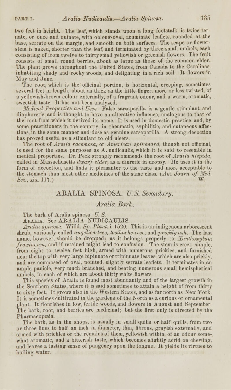 two feet in height. The leaf, which stands upon a long footstalk, is twice ter- nate, or once and quiuate, with oblong-oval, acuminate leaflets, rounded at the base, serrate on the margin, and smooth on both surfaces. The scape or flower- stem is naked, shorter than the leaf, and terminated by three small umbels, each consisting of from twelve to thirty small yellowish or greenish flowers. The fruit consists of small round berries, about as large as those of the common elder. The plant grows throughout the United States, from Canada to the Carolinas, inhabiting shady and rocky woods, and delighting in a rich soil. It flowers in May and June. The root, which is the officinal portion, is horizontal, creeping, sometimes several feet in length, about as thick as the little finger, more or less twisted, of a yellowish-brown colour externally, of a fragrant odour, and a warm, aromatic, sweetish taste. It has not been analyzed. Medical Properties and Uses. False sarsaparilla is a gentle stimulant and diaphoretic, and is thought to have an alterative influence, analogous to that of the root from which it derived its name. It is used in domestic practice, and, by some practitioners in the country, in rheumatic, syphilitic, and cutaneous affec- tions, in the same manner and dose as genuine sarsaparilla. A strong decoction has proved useful as a stimulant to old ulcers. The root of Aralia racemosa, or American spikenard, though not officinal, is used for the same purposes as A. nudicaulis, which it is said to resemble in medical properties. Dr. Peck strongly recommends the root of Aralia hispida, called in Massachusetts dwarf elder, as a diuretic in dropsy. He uses it in the form of decoction, and finds it pleasanter to the taste and more acceptable to the stomach than most other medicines of the same class. (Am. Journ. of Med. Sci.,xix.ll1.) W. ARALIA SPINOSA. U. S. Secondary. Aralia Bark. The bark of Aralia spinosa. U. S. Aralia. See ARALIA NUDICAULIS. Aralia spinosa. Willd. Sp. Plant, i. 1520. This is an indigenous arborescent shrub, variously called angelica-tree, toothache-tree, and prickly ash. The last name, however, should be dropped; as it belongs properly to Xanthoxylum fraxineum, and if retained might lead to confusion. The stem is erect, simple, from eight to twelve feet high, armed with numerous prickles, and furnished near the top with very large bipinnate or tripinnate leaves, which are also prickly, and are composed of oval, pointed, slightly serrate leaflets. It terminates in an ample panicle, very much branched, and bearing numerous small hemispherical umbels, in each of which are about thirty white flowers. This species of Aralia is found most abundantly and of the largest growth in the Southern States, where it is said sometimes to attain a height of from thirty to sixty feet. It grows also in the Western States, and as far north as New York. It is sometimes cultivated in the gardens of the North as a curious or ornamental plant. It flourishes in low, fertile woods, and flowers in August and September. The bark, root, and berries are medicinal; but the first only is directed by the Pharmacopoeia. The bark, as in the shops, is usually in small quills or half quills, from two or three lines to half an inch in diameter, thin, fibrous, grayish externally, and armed with prickles or the remains of them, yellowish within, of an odour some- what aromatic, and a bitterish taste, which becomes slightly acrid on chewing, and leaves a lasting sense of pungency upon the tongue. It yields its virtues to boiling water.