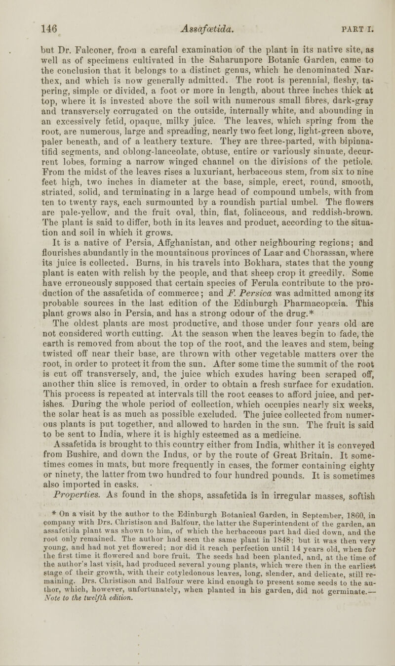 but Dr. Falconer, from a careful examination of the plant in its native site, as well as of specimens cultivated in the Saharunpore Botanic Garden, came to the conclusion that it belongs to a distinct genus, which he denominated Nar- thex, and which is now generally admitted. The root is perennial, fleshy, ta- pering, simple or divided, a foot or more in length, about three inches thick at top, where it is invested above the soil with numerous small fibres, dark-gray and transversely corrugated on the outside, internally white, and abounding in an excessively fetid, opaque, milky juice. The leaves, which spring from the root, are numerous, large and spreading, nearly two feet long, light-green above, paler beneath, and of a leathery texture. They are three-parted, with bipinna- tifid segments, and oblong-lanceolate, obtuse, entire or variously sinuate, decur- rent lobes, forming a narrow winged channel on the divisions of the petiole. From the midst of the leaves rises a luxuriant, herbaceous stem, from six to nine feet high, two inches in diameter at the base, simple, erect, round, smooth, striated, solid, and terminating in a large head of compound umbels, with from ten to twenty rays, each surmounted by a roundish partial umbel. The flowers are pale-yellow, and the fruit oval, thin, flat, foliaceous, and reddish-brown. The plant is said to differ, both in its leaves and product, according to the situa- tion and soil in which it grows. It is a native of Persia, Affghanistan, and other neighbouring regions; and flourishes abundantly in the mountainous provinces of Laar and Chorassan, where its juice is collected. Burns, in his travels into Bokhara, states that the young plant is eaten with relish by the people, and that sheep crop it greedily. Some have erroneously supposed that certain species of Ferula contribute to the pro- duction of the assafetida of commerce; and F. Persica was admitted among its probable sources in the last edition of the Edinburgh Pharmacopoeia. This plant grows also in Persia, and has a strong odour of the drug.* The oldest plants are most productive, and those under four years old are not considered worth cutting. At the season when the leaves begin to fade, the earth is removed from about the top of the root, and the leaves and stem, being twisted off near their base, are thrown with other vegetable matters over the root, in order to protect it from the sun. After some time the summit of the root is cut off transversely, and, the juice which exudes having been scraped off, another thin slice is removed, in order to obtain a fresh surface for exudation. This process is repeated at intervals till the root ceases to afford juice, and per- ishes. During the whole period of collection, which occupies nearly six weeks, the solar heat is as much as possible excluded. The juice collected from numer- ous plants is put together, and allowed to harden in the sun. The fruit is said to be sent to India, where it is highly esteemed as a medicine. Assafetida is brought to this country either from India, whither it is conveyed from Bushire, and down the Indus, or by the route of Great Britain. It some- times comes in mats, but more frequently in cases, the former containing eighty or ninety, the latter from two hundred to four hundred pounds. It is sometimes also imported in casks. Properties. As found in the shops, assafetida is in irregular masses, softish * On a visit by the author to the Edinburgh Botanical Garden, in September, 1860, in company with Drs. Christison and Balfour, the latter the Superintendent of the garden, an assafetida plant was shown to him, of which the herbaceous part had died down, and the root only remained. The author had seen the same plant in 1848; but it was then -very young, and had not yet flowered; nor did it reach perfection until 14 years old, when for the first time it flowered and bore fruit. The seeds had been planted, and, at the time of the author's last visit, had produced several young plants, which were then in the earliest stage of their growth, with their cotyledonous leaves, long, slender, and delicate, still re- maining. Drs. Christison and Balfour were kind enough to present some seeds to the au- thor, which, however, unfortunately, when planted in his garden, did not germinate. Note to the twelfth edition.