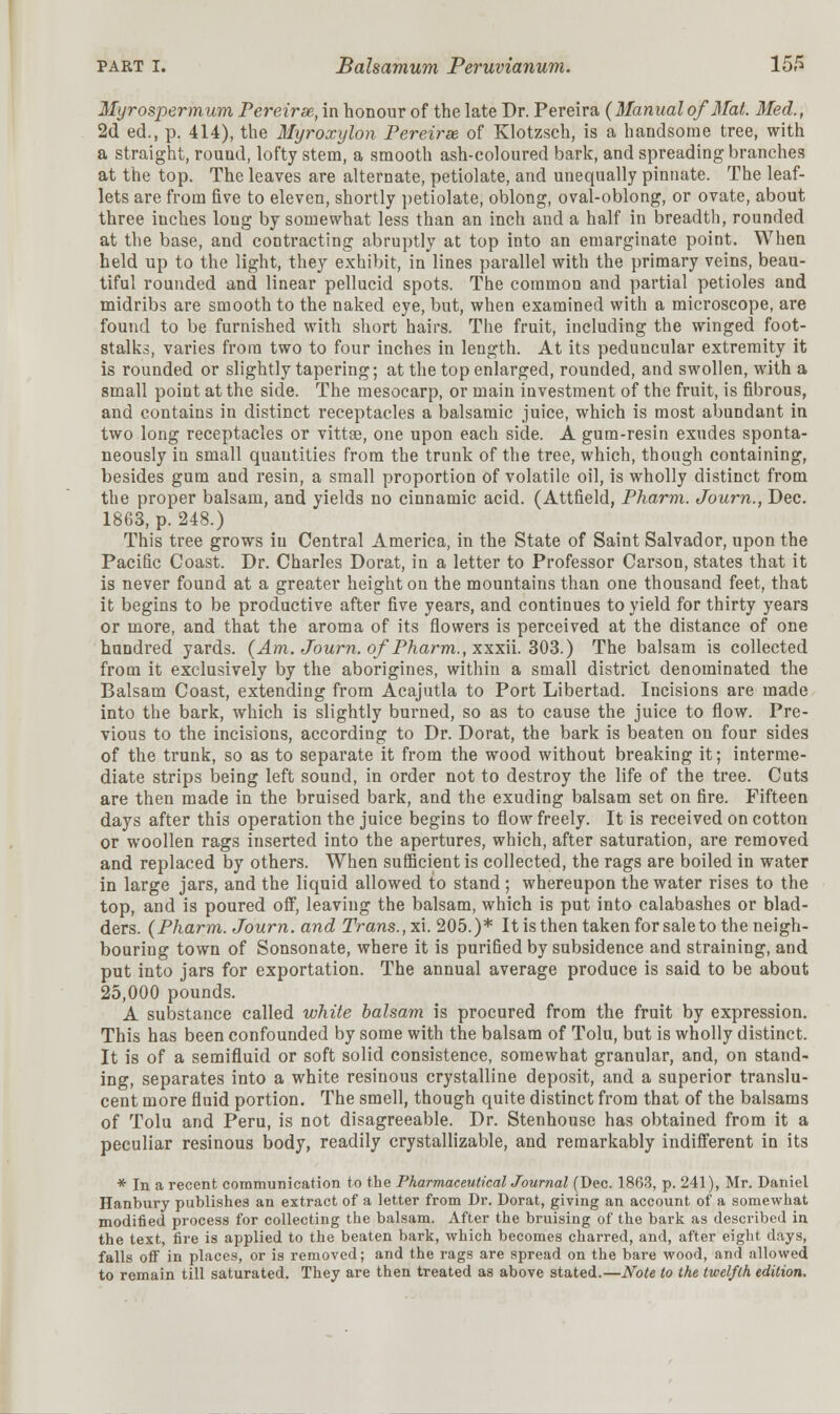 Myrospermum Pereirse, in honour of the late Dr. Pereira (Manual of Mat. Med., 2d ed., p. 414), the Myroxylon Pereirse of Klotzsch, is a handsome tree, with a straight, round, lofty stem, a smooth ash-coloured bark, and spreading branches at the top. The leaves are alternate, petiolate, and unequally pinnate. The leaf- lets are from five to eleven, shortly petiolate, oblong, oval-oblong, or ovate, about three inches long by somewhat less than an inch and a half in breadth, rounded at the base, and contracting abruptly at top into an emarginate point. When held up to the light, they exhibit, in lines parallel with the primary veins, beau- tiful rounded and linear pellucid spots. The common and partial petioles and midribs are smooth to the naked eye, but, when examined with a microscope, are found to be furnished with short hairs. The fruit, including the winged foot- stalks, varies from two to four inches in length. At its peduncular extremity it is rounded or slightly tapering; at the top enlarged, rounded, and swollen, with a small point at the side. The mesocarp, or main investment of the fruit, is fibrous, and contains in distinct receptacles a balsamic juice, which is most abundant in two long receptacles or vittse, one upon each side. A gum-resin exudes sponta- neously in small quantities from the trunk of the tree, which, though containing, besides gum and resin, a small proportion of volatile oil, is wholly distinct from the proper balsam, and yields no cinnamic acid. (Attfield, Pharm. Journ., Dec. 1863, p. 248.) This tree grows iu Central America, in the State of Saint Salvador, upon the Pacific Coast. Dr. Charles Dorat, in a letter to Professor Carson, states that it is never found at a greater height on the mountains than one thousand feet, that it begins to be productive after five years, and continues to yield for thirty years or more, and that the aroma of its flowers is perceived at the distance of one hundred yards. (Am. Journ. of Pharm., xxxii. 303.) The balsam is collected from it exclusively by the aborigines, within a small district denominated the Balsam Coast, extending from Acajutla to Port Libertad. Incisions are made into the bark, which is slightly burned, so as to cause the juice to flow. Pre- vious to the incisions, according to Dr. Dorat, the bark is beaten on four sides of the trunk, so as to separate it from the wood without breaking it; interme- diate strips being left sound, in order not to destroy the life of the tree. Cuts are then made in the bruised bark, and the exuding balsam set on fire. Fifteen days after this operation the juice begins to flow freely. It is received on cotton or woollen rags inserted into the apertures, which, after saturation, are removed and replaced by others. When sufficient is collected, the rags are boiled in water in large jars, and the liquid allowed to stand ; whereupon the water rises to the top, and is poured off, leaving the balsam, which is put into calabashes or blad- ders. (Pharm. Journ. and Trans.,xi. 205.)* It is then taken for sale to the neigh- bouring town of Sonsonate, where it is purified by subsidence and straining, and put into jars for exportation. The annual average produce is said to be about 25,000 pounds. A substance called white balsam is procured from the fruit by expression. This has been confounded by some with the balsam of Tolu, but is wholly distinct. It is of a semifluid or soft solid consistence, somewhat granular, and, on stand- ing, separates into a white resinous crystalline deposit, and a superior translu- cent more fluid portion. The smell, though quite distinct from that of the balsams of Tolu and Peru, is not disagreeable. Dr. Stenhouse has obtained from it a peculiar resinous body, readily crystallizable, and remarkably indifferent in its * In a recent communication to the Pharmaceutical Journal (Dec. 1863, p. 241), Mr. Daniel Hanbury publishes an extract of a letter from Dr. Dorat, giving an account of a somewhat modified process for collecting the balsam. After the bruising of the bark as described in the text, fire is applied to the beaten bark, which becomes charred, and, after eight days, falls off in places, or is removed; and the rags are spread on the bare wood, and allowed to remain till saturated. They are then treated as above stated.—Note to the twelfth edition.