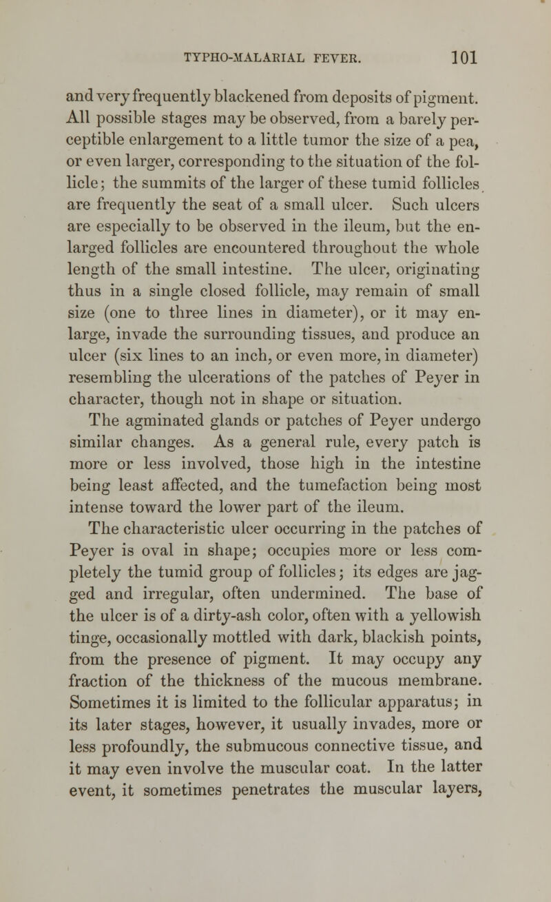 and very frequently blackened from deposits of pigment. All possible stages may be observed, from a barely per- ceptible enlargement to a little tumor the size of a pea, or even larger, corresponding to the situation of the fol- licle ; the summits of the larger of these tumid follicles are frequently the seat of a small ulcer. Such ulcers are especially to be observed in the ileum, but the en- larged follicles are encountered throughout the whole length of the small intestine. The ulcer, originating thus in a single closed follicle, may remain of small size (one to three lines in diameter), or it may en- large, invade the surrounding tissues, and produce an ulcer (six lines to an inch, or even more, in diameter) resembling the ulcerations of the patches of Peyer in character, though not in shape or situation. The agminated glands or patches of Peyer undergo similar changes. As a general rule, every patch is more or less involved, those high in the intestine being least affected, and the tumefaction being most intense toward the lower part of the ileum. The characteristic ulcer occurring in the patches of Peyer is oval in shape; occupies more or less com- pletely the tumid group of follicles; its edges are jag- ged and irregular, often undermined. The base of the ulcer is of a dirty-ash color, often with a yellowish tinge, occasionally mottled with dark, blackish points, from the presence of pigment. It may occupy any fraction of the thickness of the mucous membrane. Sometimes it is limited to the follicular apparatus; in its later stages, however, it usually invades, more or less profoundly, the submucous connective tissue, and it may even involve the muscular coat. In the latter event, it sometimes penetrates the muscular layers,