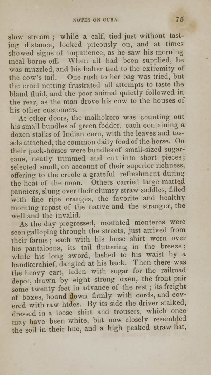 slow stream ; while a calf, tied just without tast- ing distance, looked piteously on, and at times showed signs of impatience, as he saw his morning meal borne off. When all had been supplied, he was muzzled, and his halter tied to the extremity of the cow's tail. One rush to her bag was tried, but the cruel netting frustrated all attempts to taste the bland fluid, and the poor animal quietly followed in the rear, as the man drove his cow to the houses of his other customers. At other doors, the malhokero was counting out his small bundles of green fodder, each containing a dozen stalks of Indian corn, with the leaves and tas- sels attached, the common daily food of the horse. On their pack-horses were bundles of small-sized sugar- cane, neatly trimmed and cut into short pieces; selected small, on account of their superior richness, offering to the Creole a grateful refreshment during the heat of the noon. Others carried large matted panniers, slung over their clumsy straw saddles, filled with fine ripe oranges, the favorite and healthy morning repast of the native and the stranger, the well and the invalid. As the day progressed, mounted monteros were seen galloping through the streets, just arrived from their farms; each with his loose shirt worn over his pantaloons, its tail fluttering in the breeze; while his long sword, lashed to his waist by a handkerchief, dangled at his back. Then there was the heavy cart, laden with sugar for the railroad depot, drawn by eight strong oxen, the front pair some twenty feet in advance of the rest; its freight of boxes, bound down firmly with cords, and cov- ered with raw hides. By its side the driver stalked, dressed in a loose shirt and trousers, which once may have been white, but now closely resembled the soil in their hue, and a high peaked straw hat,
