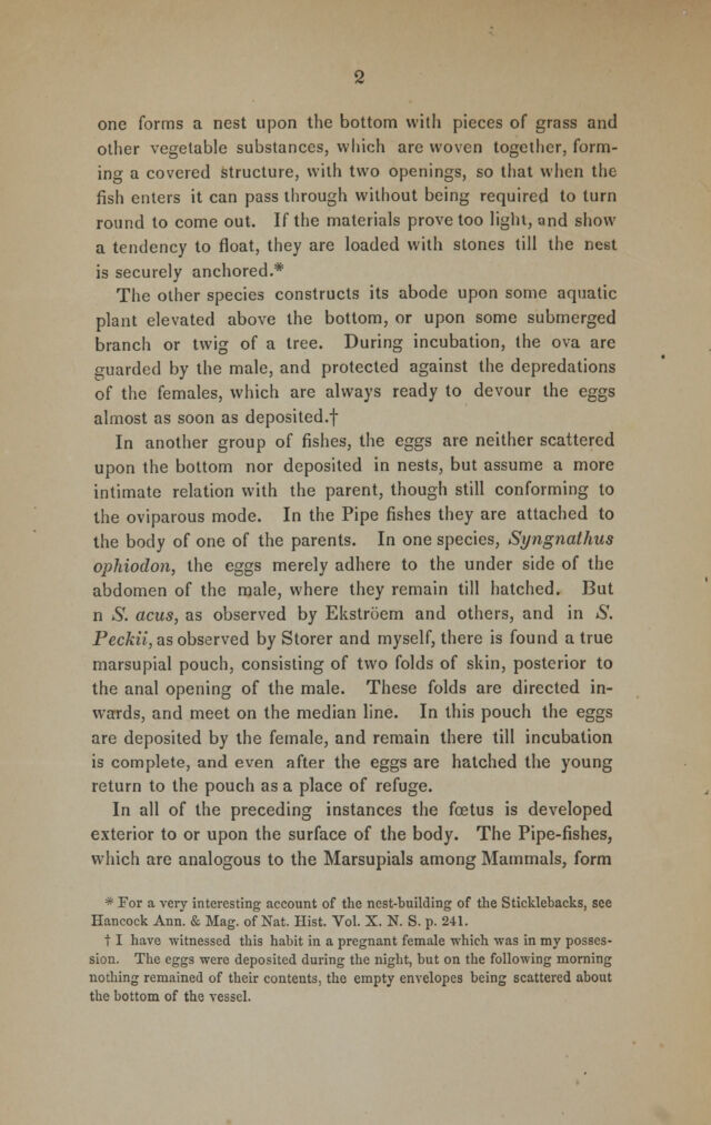 digitised image 2
