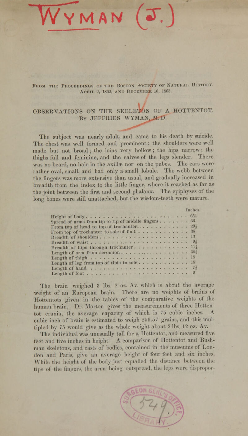 WyMAN (jF.) Fhom tiii: Proceedings of tiik Boston Society of Natural History, APRIL 2, 1802, and Df.ckmber 16, 1863. OBSERVATIONS ON THE SKELETON OF A HOTTENTOT. By JEFFRIES VVYMAN, MI). The subject was nearly adult, and came to his death by suicide. The chest was well formed and prominent; the shoulders were well made but not broad; the loins very hollow; the hips narrow: the thighs full and feminine, and the calves of the legs slender. There was no beard, no hair in the axilla? nor on the pubes. The ears were rather oval, small, and had only a small lobule. The webb between the fingers was more extensive than usual, and gradually increased in breadth from the index to the little finger, where it reached as far as the joint between the first and second phalanx. The epiphyses of the long bones were still unattached, but the wisdom-teeth were mature. Inches. Height of body <»5* Spread of arms from tip to tip of mid.lie fingers (id From top of head to top of trochanter 89J From top of trochanter to sole of foot 36 Breadth of shoulders 13 Breadth of waist '•'.■ Breadth of hipa through trochanter ll\ Length of arm from acromion 30JJ Length of thigh ls Length of leg from top of tibia to sole 18 Length of hand ~i Length of foot '•' The brain weighed .'] lbs. 2 oz. Av. which is about the average weight of an European brain. There are no weights of brains of Hottentots given in the tables of the comparative weights of the human brain. Dr. Morton gives the measurements of three Hotten- tot crania, the average capacity of which is 75 cubic inches. A cubic inch of brain is estimated to weigh 259.5 7 grains, and this mul- tipled by 75 would give as the whole weight about 2 lbs. 12 oz. Av. The individual was unusually tall for a Hottentot, and measured five feet and l\vv inches in height. A comparison of Hottentot and Bush- man skeletons, and easts of bodies, contained in the museums of Lon- don and Paris, give an average height of four feet and six inches. While the height of the body just equalled die distance between the tips of the fingers, the anus being outspread, the legs were dispropor-