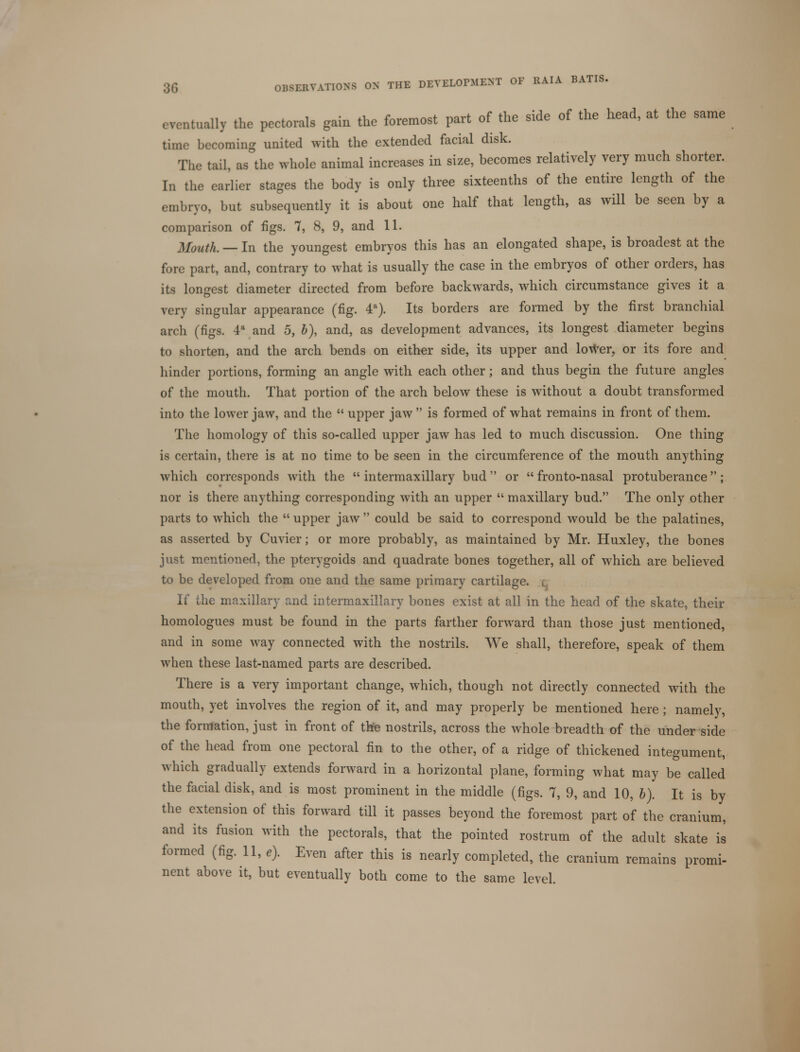otually the pectorals gain the foremost part of the side of the head, at the same time becoming united with the extended facial disk. The tail, as the whole animal increases in size, becomes relatively very much shorter. In the earlier stages the body is only three sixteenths of the entire length of the embryo, but subsequently it is about one half that length, as will be seen by a comparison of figs. 7, 8, 9, and 11. Mouth. — In the youngest embryos this has an elongated shape, is broadest at the fore part, and, contrary to what is usually the case in the embryos of other orders, has its longest diameter directed from before backwards, which circumstance gives it a very singular appearance (fig. 4a). Its borders are formed by the first branchial arch (figs. 4a and 5, b), and, as development advances, its longest diameter begins to shorten, and the arch bends on either side, its upper and lower, or its fore and hinder portions, forming an angle with each other; and thus begin the future angles of the mouth. That portion of the arch below these is without a doubt transformed into the lower jaw, and the  upper jaw  is formed of what remains in front of them. The homology of this so-called upper jaw has led to much discussion. One thing is certain, there is at no time to be seen in the circumference of the mouth anything which corresponds with the  intermaxillary bud  or  fronto-nasal protuberance; nor is there anything corresponding with an upper  maxillary bud. The only other parts to which the  upper jaw  could be said to correspond would be the palatines, as asserted by Cuvier; or more probably, as maintained by Mr. Huxley, the bones just mentioned, the pterygoids and quadrate bones together, all of which are believed to be developed from one and the same primary cartilage. If the maxillary and intermaxillary bones exist at all in the head of the skate, their homologues must be found in the parts farther forward than those just mentioned, and in some way connected with the nostrils. We shall, therefore, speak of them when these last-named parts are described. There is a very important change, which, though not directly connected with the mouth, yet involves the region of it, and may properly be mentioned here ; namely, the formation, just in front of the nostrils, across the whole breadth of the under side of the head from one pectoral fin to the other, of a ridge of thickened integument, which gradually extends forward in a horizontal plane, forming what may be called the facial disk, and is most prominent in the middle (figs. 7, 9, and 10, b). It is by the extension of this forward till it passes beyond the foremost part of the cranium, and its fusion with the pectorals, that the pointed rostrum of the adult skate is formed (fig. 11, *). Even after this is nearly completed, the cranium remains promi- nent above it, but eventually both come to the same level.