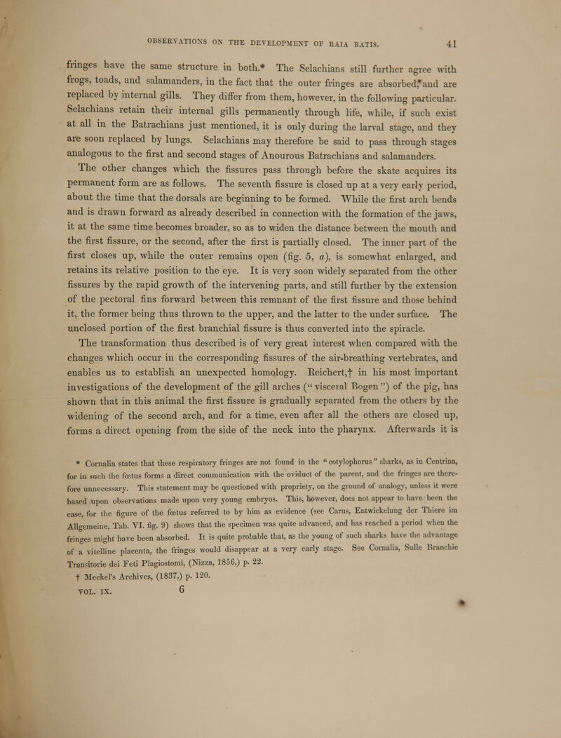 fringes have the same structure in both * The Selachians still further agree with frogs, toads, and salamanders, in the fact that the outer fringes are absorbed,* and are replaced by internal gills. They differ from them, however, in the following particular. Selachians retain their internal gills permanently through life, while, if such exist at all in the Batrachians just mentioned, it is only during the larval stage, and they are soon replaced by lungs. Selachians may therefore be said to pass through stages analogous to the first and second stages of Anourous Batrachians and salamanders. The other changes which, the fissures pass through before the skate acquires its permanent form are as follows. The seventh fissure is closed up at a very early period, about the time that the dorsals are beginning to be formed. While the first arch bends and is drawn forward as already described in connection with the formation of the jaws, it at the same time becomes broader, so as to widen the distance between the mouth and the first fissure, or the second, after the first is partially closed. The inner part of the first closes up, while the outer remains open (fig. 5, a), is somewhat enlarged, and retains its relative position to the eye. It is very soon widely separated from the other fissures by the rapid growth of the intervening parts, and still further by the extension of the pectoral fins forward between this remnant of the first fissure and those behind it, the former being thus thrown to the upper, and the latter to the under surface. The unclosed portion of the first branchial fissure is thus converted into the spiracle. The transformation thus described is of very great interest when compared with the changes which occur in the corresponding fissures of the air-breathing vertebrates, and enables us to establish an unexpected homology. Beichert,j in his most important investigations of the development of the gill arches (visceral Bogen) of the pig, has shown that in this animal the first fissure is gradually separated from the others by the widening of the second arch, and for a time, even after all the others are closed up, forms a direct opening from the side of the neck into the pharynx. Afterwards it is * Cornalia states that these respiratory fringes are not found in the  cotylophorus  sharks, as in Centrina, for in such the foetus forms a direct communication with the oviduct of the parent, and the fringes are there- fore unnecessary. This statement may be questioned with propriety, on the ground of analogy, unless it were based upon observations made upon very young embryos. This, however, does not appear to have been the case, for the figure of the foetus referred to by him as evidence (see Carus, Entwickelung der Thiere im AhVemeine, Tab. VI. fig. 9) shows that the specimen was quite advanced, and has reached a period when the fringes might have been absorbed. It is quite probable that, as the young of such sharks have the advantage of a vitelline placenta, the fringes would disappear at a very early stage. See Cornalia, Sulle Branchie Transitorie dei Feti Plagiostomi, (Nizza, 1856,) p. 22. t Meckel's Archives, (1837,) p. 120. VOL. IX. 6