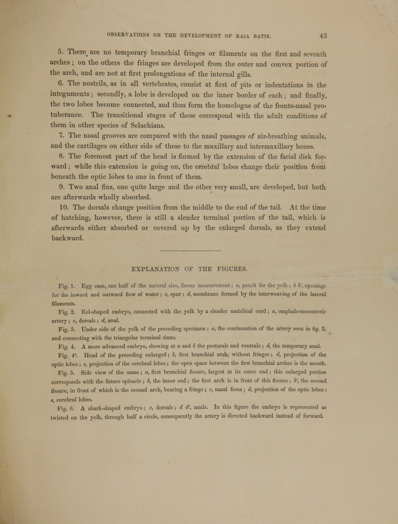 5. There are no temporary branchial fringes or filaments on the first and seventh arches ; on the others the fringes are developed from the outer and convex portion of the arch, and are not at first prolongations of the internal gills. 6. The nostrils, as in all vertebrates, consist at first of pits or indentations in the integuments; secondly, a lobe is developed on the inner border of each ; and finally, the two lobes become connected, and thus form the homologue of the fronto-nasal pro- tuberance. The transitional stages of these correspond with the adult conditions of them in other species of Selachians. 7. The nasal grooves are compared with the nasal passages of air-breathing animals, and the cartilages on either side of these to the maxillary and intermaxillary bones. 8. The foremost part of the head is formed by the extension of the facial disk for- ward ; while this extension is going on, the cerebral lobes change their position from beneath the optic lobes to one in front of them. 9. Two anal fins, one quite large and the other very small, are developed, but both are afterwards wholly absorbed. 10. The dorsals change position from the middle to the end of the tail. At the time of hatching, however, there is still a slender terminal portion of the tail, which is afterwards either absorbed or covered up by the enlarged dorsals, as they extend backward. EXPLANATION OF THE FIGURES. Fig. 1. Egg case, one half of the natural size, linear measurement; a, pouch for the yelk; b b', openings for the inward and outward flow of water; c, spur; d, membrane formed by the interweaving of the lateral filaments. Fig. 2. Eel-shaped embryo, connected with the yelk by a slender umbilical cord; a, omphalo-mesenteric artery ; c, dorsals ; d, anal. Fig. 3. Under side of the yelk of the preceding specimen ; a, the continuation of the artery seen in fig. 2, and connecting with the triangular terminal sinus. Fi-. 4. A more advanced embryo, showing at a and b the pectorals and ventrals ; d, the temporary anal. Fi. 4a. Head of the preceding enlarged; b, first branchial arch, without fringes; d, projection of the optic lobes ; e, projection of the cerebral lobes; the open space between the first branchial arches is the mouth. Fi-. 5. Side view of the same; a, first branchial fissure, largest at its outer end ; this enlarged portion corresponds with the future spiracle ; b, the inner end ; the first arch is in front of this fissure ; b', the Becond fissure, in front of which is the second arch, bearing a fringe ; c, nasal fossa; d, projection of the optic lobes ; e, cerebral lobes. Fig. 6. A shark-shaped embryo; c, dorsals; d d', anals. In this figure the embryo is represented as twisted on the yelk, through half a circle, consequently the artery is directed backward instead of forward