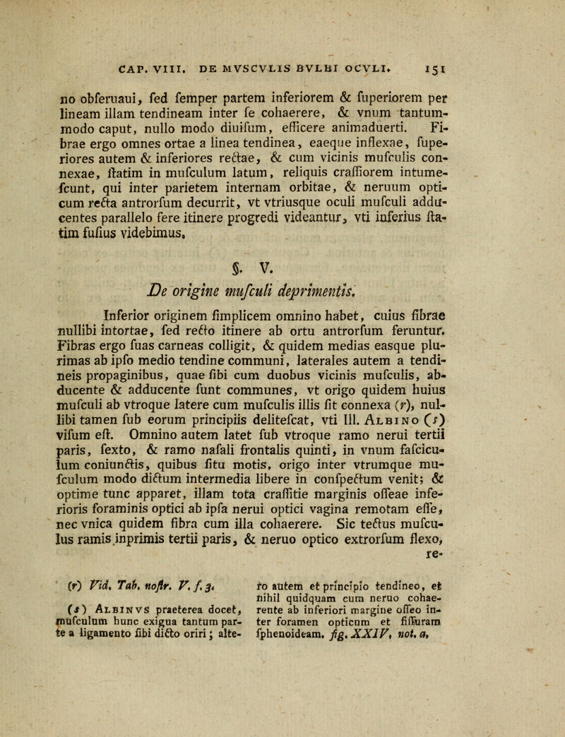 no obferuaui, fed femper partem inferiorem & fuperiorem per lineam illam tendineam inter fe cohaerere, & vnum tantum- modo caput, nullo modo diuifum, efficere animaduerti. Fi- brae ergo omnes ortae a iinea tendinea, eaeque inflexae, fupe- riores autem & inferiores reftae, & cum vicinis mufculis con- nexae, ftatim in mufculum latum, reliquis craffiorem intume- fcunt, qui inter parietem internam orbitae, & neruum opti- cumrefta antrorfum decurrit, vt vtriusque oculi mufculi addu- centes parallelo fere itinere progredi videantur, vti inferius fta- tim fufius videbimus, §. V. De origine mufculi deprimentis. Inferior originem fimplicem omnino habet, cuius flbrae nullibi intortae, fed refto itinere ab ortu antrorfum feruntur. Fibras ergo fuas carneas colligit, & quidem medias easque plu» rimas ab ipfo medio tendine communi, laterales autem a tendi- neis propaginibus, quae fibi cum duobus vicinis mufculis, ab- ducente & adducente funt communes, vt origo quidem huius mufculi ab vtroque latere cum mufculis illis fit connexa (r), nul- libi tamen fub eorum principiis delitefcat, vti 111. Albino (x) vifum eft. Omnino autem latet fub vtroque ramo nerui tertii paris, fexto, & ramo nafali frontalis quinti, in vnum fafcicu- lum coniunftis, quibus fitu motis, origo inter vtrumque mu- fculum modo diftum intermedia libere m confpeftum venit; & optime tunc apparet, illam tota craffitie marginis ofleae infe- rioris foraminis optici ab ipfa nerui optici vagina remotam efle, nec vnica quidem fibra cum illa cohaerere. Sic teftus mufcu- lus ramis jnprimis tertii paris, & neruo optico extrorfum flexo, re- (r) Vid> Tab> noftr. V,fs* ro autem etpnncipio tendlneo, efc nihil quidquam cutn neruo cohae- (s) Albinvs praeterea docet, rente ab inferiori margine ofleo in- fnufculum hunc exigua tantum par- ter foramen opticnm et fifforarn te a ligamento iibi ditto oriri; alte- fphenoideam. fig. XXIV\ noU a>