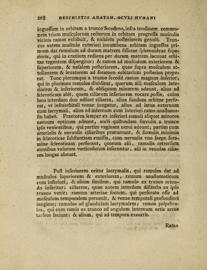 ingreffum in orbitam a trunco fecedens, infra tendinem commu- nem trium mufculorum reftorum in orbitam progreiTa mufculis vicinis ramos exhibuit, & nafalem pofteriorem genuit, Trun- cus autem mufculo exteriori incumbens orbitam ingreflus pri- mum dat ramulum ad duram matrem fiffurae fphenoideae fupe-- rioris, qui in cranium rediens per duram matrem lacunar orbi- tae tegentem difpergitur; & ramos ad mufculum exteriorem & fuperiorem, & nafalem pofleriorem, quae fupra mufculum at- tollentem & leuatorem ad foramen orbitarium pofterius prope- rat Tunc plerumque a trunco fecedit ramus magnus inferior, qui in plurimos ramulos diuiditur, quorum alii mufculum inte- riorem & inferiorem, & obliquum minorem adeunt, alius ad fcleroticam abit, quem ciliarem inferiorem vocare poffis, cuius loco interdum duo adfunt ciliares, alius fundum orbitae perfo- rat, vt infraorbitali venae iungatur, alius ad latus externum cum lacrymali, alius ad internum cum interiori ramo anaftomo- fin habet. Praeterea femper ex inferiori ramuli aliquot minores neruum opticum adeunt, aucli quibusdam furculis a trunco ipfo venientibus, qui partim vaginam nerui adeunt, partim cum arteriolis & neruulis ciliaribus procurrunt, & furculis minimis in fcleroticae fubftantiam emiftis, cum neruulis vno faepe fora- mine fcleroticam perforant, quorum alii, ramulis retrorfum euntibus vaforum vorticoforum inferuntur, alii in venulas cilia- res longas abeunt. Poft inferiorem oritur lacrymalis, qui ramulos dat ad mufculos fuperiorem & exteriorem, ramum anaftomoticum cum inferiori, & alium fimilem, qui ramulo ex trunco oriun- do inferitur; ciliarem, quae autem interdum diftinfta ex ipfo trunco venit; ramum arteriae focium, qui perforato offe ad mufculum temporalem peruenit, & venae temporali profundiori iungitur; ramulos ad glandulam lacrymalem; ramos palpebra- les, qui cum ramis ex trunco ad angulum internum ortis arcus turfeos faciunt; & alium, qui ad tempora excurrit. Ramo