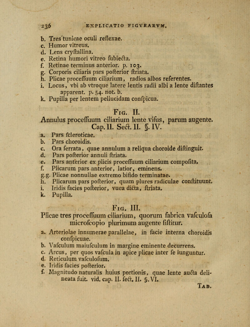 b. Tres' tunicae oculi reflexae, c. Humor vitreus. d. Lens cryftallina. e. Retina humori vitreo fubiefta. f. Retinae terminus anterior. p. 103. g. Corporis ciliaris pars pofterior ftriata. h. Plicae procefluum ciliarium, radios albos referentes. i. Locus, vbi ab vtroque latere lentis radii albi a lente diftantes apparent. p*54- not. b. k. Pupilla per lentem peliucidam confpicua. FlG. II. Annulus procefluum ciliarium lente vifus, parum augente. Cap.ll. Se&.II. g. IV. a. Pars fcleroticae. b. Pars choroidis. c. Ora ferrata, quae annulum a reliqua choroide diftinguit. d. Pars pofterior annuli ftriata. e. Pars anterior ex plicis procefluum ciliarium compofita. f. Plicarum pars anterior, latior, eminens. g.g. Plicae nonnullae extremo bifido terminatae. h. Plicarum pars pofterior, quam plures radiculae conftituunt. i. Iridis facies pofterior, vuea difta, ftriata. k. Pupilla. FlG. III. Plicae tres procefllium ciliarium, quorum fabrica vafculofa microlcopio plurimum augente fiftitur. a. Arteriolae innumerae parallelae, in facie interna choroidis confpicuae. b. Vafculum maiufculum in margine eminente decurrens. c. Arcus, per quos vafculain apice plicae inter fe iunguntur. d. Reticulum vafculofum. e. Iridis facies pofterior. f. Magnitudo naturalis huius portionis, quae Iente aufta deli- neata fuit. vid. cap. II. feftt II. §. VI. Tab.