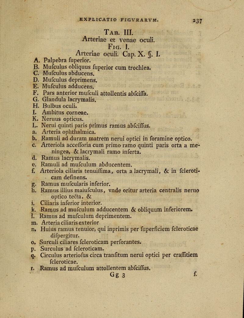 Tab. III. Arteriae et venae oculi. Fig. 1. Arteriae oculi. Cap. X. §. I. A. Palpebra fuperior. B. Mufculus obliquus fuperior cum trochlea. C. Mufculus abducens. D. Mufculus deprimens. E. Mufculus adducens. F. Pars anterior mufculi attollentis abfciifa. G. Glandula lacrymalis. H. Bulbus oculi. L Ambitus corneae. K. Neruus opticus. L. Nerui quinti paris primus ramus abfciflus. a. Arteria ophthalmica. b. Ramuli ad duram matrem nerui optici in foramine optico. c. Arteriola accefforia cum primo ramo quinti paris orta a me- ningea, & lacrymali ramo inferta. d. Ramus lacrymalis. e. Ramuii ad mufculum abducentem. f. Arteriola ciliaris tenuiffima, orta alacrymali, & in fcleroti- cam definens. g. Ramus mufcularis inferior. h. Ramusillius maiufculus, vnde oritur arteria centralis neruo optico tefta, & i. Ciliaris inferior interior. k. Ramus ad mufculum adducentem & obliquum inferiorem. 1. Ramus ad mufculum deprimentem. m. Arteria ciliaris exterior n» Huius ramus tenuior, qui inprimis per fuperficiem fcleroticae difpergitur. o* Surculi ciliares fcleroticam perforantes. p. Surculus ad fcleroticam. q. Circulus arteriofus circa tranfitum nerui optici per craflitiem fcleroticae. r. Ramus ad mufculum attollentem abfciifus. Gg3 *