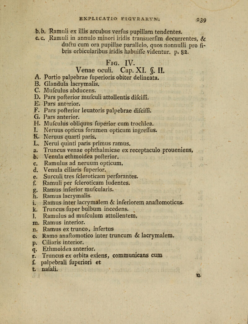 b. b. Ramuli ex illis arcubus verfus pupillam tendentes. c.c. Ramuli in annulo minori iridis transuerfim decurrentes, & duftu cum ora pupillae parallelo, quos nonnulli pro fi- bris orbicularibus iridis habuiffe videntur. p* 83. Fig. IV. Venae oculi. Cap. XI. §. IL A. Portio palpebrae fuperioris obiter delineata. B. Glandula lacrymalis. C. Mufculus abducens. D. Pars pofterior mufculi attollentis difcifli. E. Pars anterior* F. Pars pofterior leuatoris palpebrae difciffi. G. Pars anterior. H. Mufculus obliquus fuperior cum trochlea. I. Neruus opticus foramen opticum ingreflus. K. Neruus quarti paris. L. Nerui quinti paris primus ramus. a. Truncus venae ophthalmicae ex receptaculo proueniens, b. Venula ethmoidea pofterior. c. Ramulus ad neruum opticum. d. Venula ciliaris fuperior. e. Surculi tres fcleroticam perforantes. f. Ramuli per fcieroticam ludentes. g. Ramus inferior mufcularis. h. Ramus lacrymalis. i. Ramus inter lacrymalem & inferiorem anaftomoticus, k. Truncus fuper bulbum incedens. ]. Ramulus ad mufculum attollentem, m. Ramus interior. n. Ramus extrunco, infertus o. Ramo anaftomotico inter truncum & lacrymalem, p. Ciliaris interior. q. Ethmoidea anterior. r. Truncus ex orbita exiens, communicans cum f. palpebrali fuperiori et t nafali. m