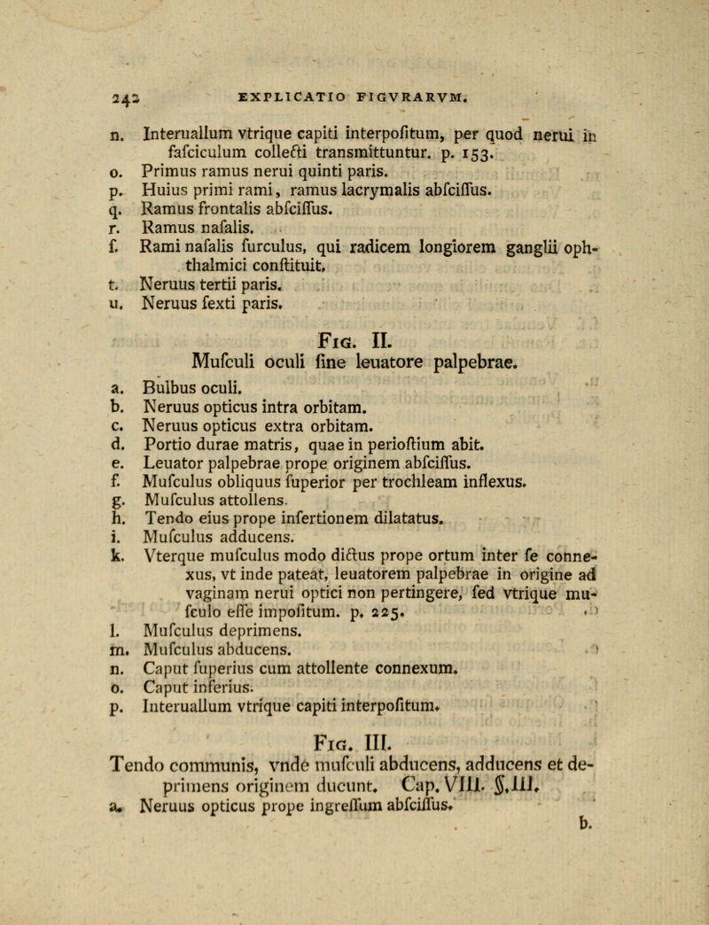 n. Interuallum vtrique capiti interpofitum, per quod nerui in fafciculum collefti transmittuntur. p. 153. 0. Primus ramus nerui quinti paris. p. Huius primi rami, ramus lacrymalis abfciffus. q. Ramus frontalis abfciffus. r. Ramus nafalis. f. Rami nafalis furculus, qui radicem longiorem ganglii oph- thalmici conftituit, t. Neruus tertii paris. u. Neruus fexti paris. FlG. II. Mufculi oculi fine leuatore palpebrae. a. Bulbus oculi. b. Neruus opticus intra orbitam. c. Neruus opticus extra orbitam. d. Portio durae matris, quae in perioflium abit. e. Leuator palpebrae prope originem abfciffus. f. Mufculus obliquus fuperior per trochleam inflexus. g. Mufculus attollens. h. Tendo eius prope infertionem dilatatus. i. Mufculus adducens. k. Vterque mufculus modo diftus prope ortum inter fe conne- xus, vt inde pateat, leuatorem palpebrae in origine ad vaginam nerui optici non pertingere, fed vtrique mu- fculo effe impofitum. p, 225. 1. Mufculus deprimens. m. Mufculus abducens. n. Caput fuperius cum attollente connexujm. o. Caput inferius. p. Interuallum vtrique capiti interpofitum* FlG. III. Tendo communis, vnde mufculi abducens, adducens et de- primens originem ducunt. Cap. VIll. §♦!!!♦ a. Neruus opticus prope ingreffum abfciffus* b.