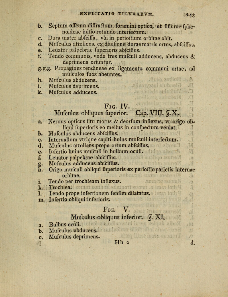 b. Septum offeum diffra&um, foramini optico, et fiffurae fphe- noideae initio rotundo interieftum. c. Dura mater abfciffa, vbi in perioftium orbitae abit d. Mufculus attollens, ex diuifione duraematris ortus, abfciffus. e. Leuator palpebrae fuperioris abfciffus. f. Tendo communis, vnde tres mufculi adducens, abducens & deprimens oriuntur. g.g.g. Propagines tendineae ex ligamento communi ortae, ad mufculos fuos abeuntes. h. Mufcuius abducens. i. Mufculus deprimens. k. Mufculus adducens. Fig. IV. Mufculus obliquus fuperior. Cap. VIII. §.X. a. Neruus opticus fitu motus & deorfum inflexus, vt origo ob- liqui fuperioris eo melius in confpeftum veniat. b. Mufculus abducens abfcifflis. c. Interualium vtrique capiti huius mufculi interieftum^ d. Mufculus attollens prope ortum abfciffus. e. Infertio huius mufculi in buibum oculi. f. Leuator palpebrae abfciffus. g. Mufculus adducens abfciffus. h. Origo mufculi obliqui liiperioris ex perioftioparietis internae orbitae. i. Tendo per trochleam inflexus. k. Trochlea. 1. Tendo prope infertionem fenfim dilatatus. m. Infertio obliqui inferioris. Fig. V. Mufculus obliquus inferior, §. XI% a. Bulbus oculi. b. Mufculus abducens. c. Mufcuius deprimens. Hh 2 d.