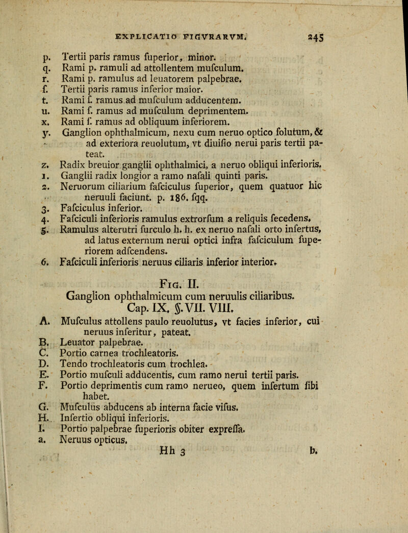 p. Tertii paris ramus fuperior, minor. q. Rami p> ramuli ad attollentem mufculum. r. Rami p. ramulus ad leuatorem palpebrae. f. Tertii paris ramus inferior maior. t. Rami £ ramus ad mufculum adducentem. u. Rami f. ramus ad mufculum deprimentem. x. Rami i'. ramus ad obliquum inferiorem. y. Ganglion ophthalmicum, nexu cum neruo optico folutum, & ad exteriora reuolutum, vt diuifio nerui paris tertii pa- teat. z. Radix breuior ganglii ophthalmici, a neruo obliqui inferioris. i. Ganglii radix longior a ramo nafali quinti paris. %• Neruorum ciliarium fafciculus fuperior, quem quatuor hic neruuli faciunt. p. i86.fqq. 3. Fafciculus inferior. 4. Fafciculi inferioris ramulus extrorfum a reliquis fecedens, 5. Ramulus alterutri furculo h. h. ex neruo nafali orto infertus, ad latus externum nerui optici infra fafciculum fupe- riorem adfcendens* 6. Fafciculi inferioris neruus ciliaris inferior interior* Fig. II. Ganglion ophthalmicum cum neruulis ciliaribus. Cap.IX. §. VII. VIII. A. Mufculus attollens paulo reuolutus, vt facies inferior, cui neruns inferitur, pateat. B. Leuator palpebrae. C. Portio carnea trochleatoris. D. Tendo trochleatoris cum trochlea. E. Portio mufculi adducentis, cum ramo nerui tertii paris. F. Portio deprimentis cum ramo nerueo, quem infertum fibi habet. G. Mufculus abducens ab interna facie vifus. H. Infertio obliqui inferioris. I. Portio palpebrae fuperioris obiter exprefla. a. Neruus opticus. Hh 3 fc