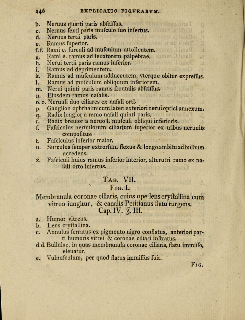 b. Neruus quarti paris abfcifllis. c. Neruus fexti paris mufculo fuo infertus. d. Neruus tertii paris. e. Ramus fuperior. f.f. Rami e. furculi ad mufculum attollentem. g. Rami e. ramus ad leuatorem palpebrae. li. Nerui tertii paris ramus inferior* i. Ramus ad deprimentem. k. Ramus ad mufculum adducentem, vterque obiter expreflus. 1. Ramus ad mufculum obliquum inferiorem. m. Nerui quinti paris ramus frontalis abfciflus. n. Eiusdem ramus nafalis. o. o. Neruuli duo ciliares ex nafali orti. p. Ganglion ophthaimicum lateriexteriorinerui optici annexunn q. Radix longior a ramo nafali quinti paris. r. Radix breuior a neruo 1. mufculi obliqui inferioris. f. Fafciculus neruulorum ciliarium fuperior ex tribus neruulis compofitus. t. Fafciculus inferior maior. u. Surculus femper extrorfum flexus & longo ambitu ad bulbum accedens. x. Fafciculi huius ramus inferior interior, alterutri ramo ex na- faii orto infertus. Tab. VII. Fig. I. Membranula coronae ciliaris, cuius ope lens cry ftallina cum vitreo iungitur, & canalis Petitianus flatu turgens. Cap.1V. $.111. a. Humor vitreus. b. Lens cryftaliina. c. Annulus ferratus ex pigmento nigro conflatus, anterioripar- ti humoris vitrei & coronae ciliari inftratus. d.d.Bullulae, in quas membranula coronae ciliaris, flatu immiflb, eleuatur. e. Vulnufcuium, per quod flatus immiflus fuit.' Fia.