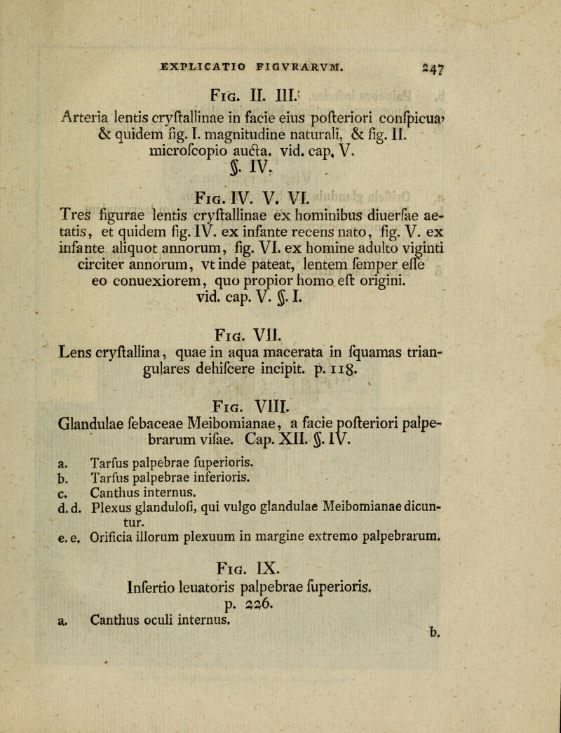 Fig. II. III; Arteria lentis cryftallinae in facie eius pofteriori confpicua> & quidem fig. I. magnitudine naturali, & fig. II. microfcopio au&a. vid. cap« V. §. iv. Fig. IV. V. VI. Tres figurae lentis cryftallinae ex hominibus diuerfae ae- tatis, et quidem fig. IV. ex infante recens nato, fig. V. ex infante aliquot annorum, fig. VI. ex homine adulto viginti circiter annorum, vt inde pateat, lentem femper effe eo conuexiorem, quo propior homo eft origini. vid. cap. V. 5.1. Fig. VII. Lens cryftallina, quae in aqua macerata in fquamas trian- gulares dehifcere incipit. p. 118. Fig. VIII. Glandulae febaceae Meibomianae, a facie pofteriori palpe- brarum vifae. Cap. XII. §. IV. a. Tarfus palpebrae fuperioris. b. Tarfus palpebrae inferioris. c* Canthus internus. d. d. Plexus glandulofi, qui vulgo glandulae Meibomianae dicun- tur. e. e, Orificia iilorum plexuum in margine extremo palpebrarum. Fig. IX. Infertio leuatoris palpebrae fuperioris. p. 2,2,6. a. Canthus oculi internus. b.