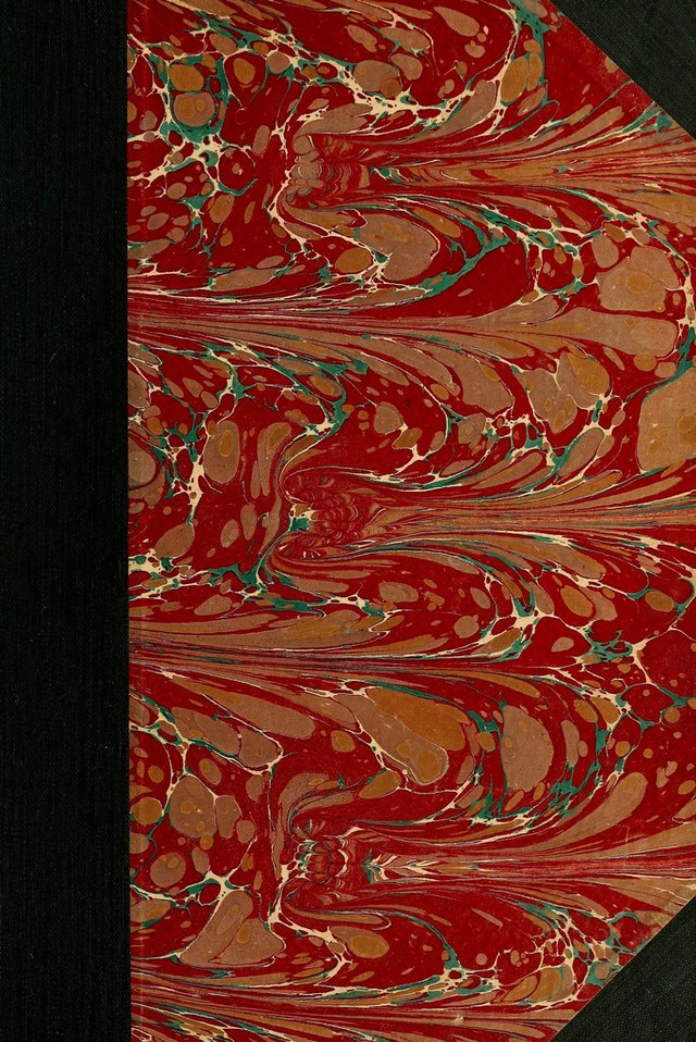 No text description is available for this image