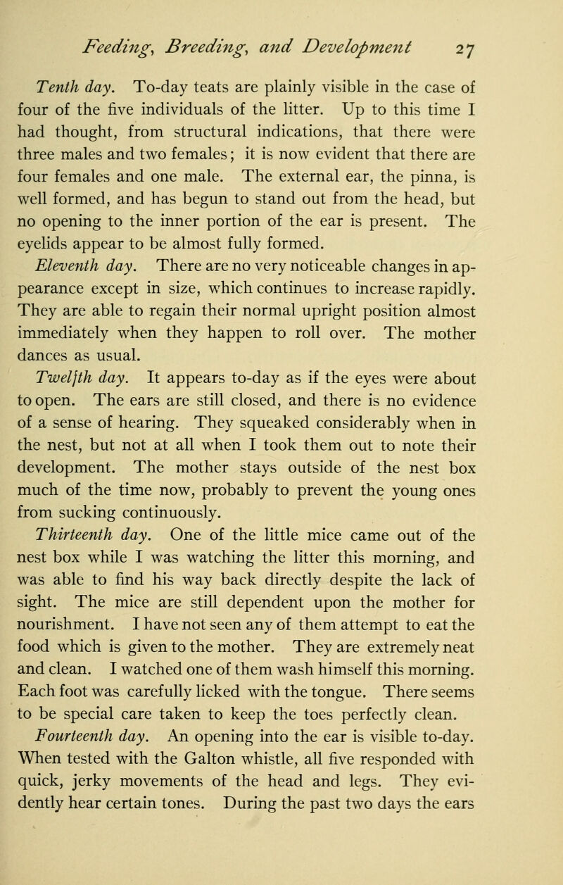 Tenth day. To-day teats are plainly visible in the case of four of the five individuals of the litter. Up to this time 1 had thought, from structural indications, that there were three males and two females; it is now evident that there are four females and one male. The external ear, the pinna, is well formed, and has begun to stand out from the head, but no opening to the inner portion of the ear is present. The eyelids appear to be almost fully formed. Eleventh day. There are no very noticeable changes in ap- pearance except in size, w^hich continues to increase rapidly. They are able to regain their normal upright position almost immediately when they happen to roll over. The mother dances as usual. Twelfth day. It appears to-day as if the eyes were about to open. The ears are still closed, and there is no evidence of a sense of hearing. They squeaked considerably when in the nest, but not at all when I took them out to note their development. The mother stays outside of the nest box much of the time now, probably to prevent the young ones from sucking continuously. Thirteenth day. One of the little mice came out of the nest box while I was watching the litter this morning, and was able to find his way back directly despite the lack of sight. The mice are still dependent upon the mother for nourishment. I have not seen any of them attempt to eat the food which is given to the mother. They are extremely neat and clean. I watched one of them wash himself this morning. Each foot was carefully licked with the tongue. There seems to be special care taken to keep the toes perfectly clean. Fourteenth day. An opening into the ear is visible to-day. When tested with the Galton whistle, all five responded with quick, jerky movements of the head and legs. They evi- dently hear certain tones. During the past two days the ears