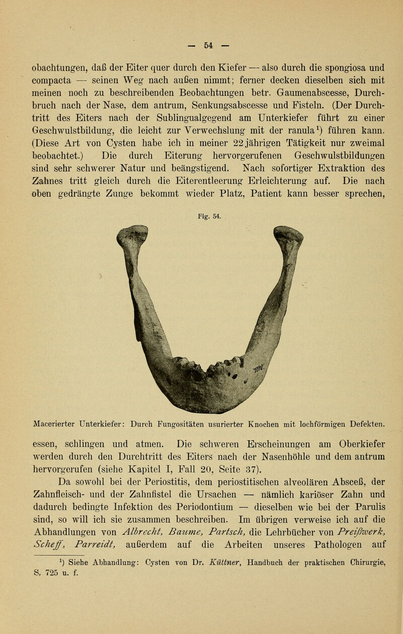 obachtungen, daß der Eiter quer durch den Kiefer — also durch die spongiosa und compacta — seinen Weg nach außen nimmt; ferner decken dieselben sich mit meinen noch zu beschreibenden Beobachtungen betr. Gaumenabscesse, Durch- bruch nach der Nase, dem antrum, Senkungsabscesse und Fisteln. (Der Durch- tritt des Eiters nach der Sublingualgegend am Unterkiefer führt zu einer Geschwulstbildung, die leicht zur Verwechslung mit der ranula ^) führen kann. (Diese Art von Cysten habe ich in meiner 22 jährigen Tätigkeit nur zweimal beobachtet.) Die durch Eiterung hervorgerufenen Geschwulstbildungen sind sehr schwerer Natur und beängstigend. Nach sofortiger Extraktion des Zahnes tritt gleich durch die Eiterentleerung Erleichterung auf. Die nach oben gedrängte Zunge bekommt wieder Platz, Patient kann besser sprechen, Fig. 54. Macerierter Unterkiefer: Durch Fungositäten usurierter Knochen mit lochförmigen Defekten. essen, schlingen und atmen. Die schweren Erscheinungen am Oberkiefer werden durch den Durchtritt des Eiters nach der Nasenhöhle und dem antrum hervorgerufen (siehe Kapitel I, Fall 20, Seite 37). Da sowohl bei der Periostitis, dem periostitischen alveolären Absceß, der Zahnfleisch- und der Zahnfistel die Ursachen — nämlich kariöser Zahn und dadurch bedingte Infektion des Periodontium — dieselben wie bei der Parulis sind, so will ich sie zusammen beschreiben. Im übrigen verweise ich auf die Abhandlungen von Albrecht, Baume, Partsch, die Lehrbücher von Preißwerk, Schaff, Parreidt, außerdem auf die Arbeiten unseres Pathologen auf ^) Siehe Abhandlung: Cysten von Dr. Küttner, Handbuch der praktischen Chirurgie, S. 725 u. f.
