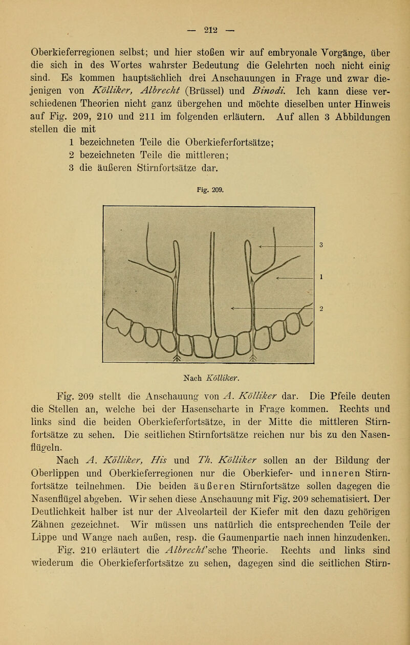 Oberkieferregionen selbst; und hier stoßen wir auf embryonale Vorgänge, über die sich in des Wortes wahrster Bedeutung die Gelehrten noch nicht einig sind. Es kommen hauptsächlich drei Anschauungen in Frage und zwar die- jenigen von Kölliker, Albrecht (Brüssel) und Binodi. Ich kann diese ver- schiedenen Theorien nicht ganz übergehen und möchte dieselben unter Hinweis auf Fig. 209, 210 und 211 im folgenden erläutern. Auf allen 3 Abbildungen stellen die mit 1 bezeichneten Teile die Oberkieferfortsätze; 2 bezeichneten Teile die mittleren; 3 die äußeren Stirnfortsätze dar. Fig. 209. Nach Kölliker. Fig. 209 stellt die Anschauung von A. Kölliker dar. Die Pfeile deuten die Stellen an, welche bei der Hasenscharte in Frage kommen. Rechts und links sind die beiden Oberkieferfortsätze, in der Mitte die mittleren Stirn- fortsätze zu sehen. Die seitlichen Stirnfortsätze reichen nur bis zu den Nasen- flügeln. Nach A. Kölliker, His und Th. Kölliker sollen an der Bildung der Oberlippen und Oberkieferregionen nur die Oberkiefer- und inneren Stirn- fortsätze teilnehmen. Die beiden äußeren Stirnfortsätze sollen dagegen die Nasenflügel abgeben. Wir sehen diese Anschauung mit Fig. 209 schematisiert. Der Deutlichkeit halber ist nur der Alveolarteil der Kiefer mit den dazu gehörigen Zähnen gezeichnet. Wir müssen uns natürlich die entsprechenden Teüe der Lippe und Wange nach außen, resp. die Gaumenpartie nach innen hinzudenken. Fig. 210 erläutert die Albrecht'^oho, Theorie. Rechts and links sind wiederum die Oberkieferfortsätze zu sehen, dagegen sind die seitlichen Stirn-
