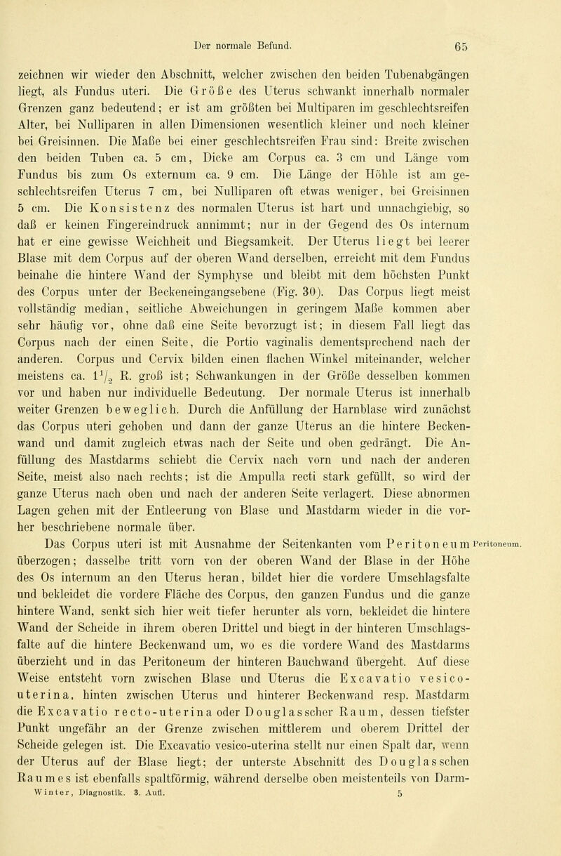 zeichnen wir wieder den Abschnitt, welcher zwischen den beiden Tubenabgängen liegt, als Fundus uteri. Die Größe des Uterus schwankt innerhalb normaler Grenzen ganz bedeutend; er ist am größten bei Multiparen im geschlechtsreifen Alter, bei Nulliparen in allen Dimensionen wesentlich kleiner und noch kleiner bei Greisinnen. Die Maße bei einer geschlechtsreifen Trau sind: Breite zwischen den beiden Tuben ca. 5 cm, Dicke am Corpus ca. 3 cm und Länge vom Fundus bis zum Os externum ca. 9 cm. Die Länge der Höhle ist am ge- schlechtsreifen Uterus 7 cm, bei Nulliparen oft etwas weniger, bei Greisinnen 5 cm. Die Konsistenz des normalen Uterus ist hart und unnachgiebig, so daß er keinen Fingereindruck annimmt; nur in der Gegend des Os internum hat er eine gewisse Weichheit und Biegsamkeit. Der Uterus liegt bei leerer Blase mit dem Corpus auf der oberen Wand derselben, erreicht mit dem Fundus beinahe die hintere Wand der Symplryse und bleibt mit dem höchsten Punkt des Corpus unter der Beckeneingangsebene (Fig. 30). Das Corpus liegt meist vollständig median, seitliche Abweichungen in geringem Maße kommen aber sehr häufig vor, ohne daß eine Seite bevorzugt ist; in diesem Fall liegt das Corpus nach der einen Seite, die Portio vaginalis dementsprechend nach der anderen. Corpus und Cervix bilden einen flachen Winkel miteinander, welcher meistens ca. l1/2 R. groß ist; Schwankungen in der Größe desselben kommen vor und haben nur individuelle Bedeutung. Der normale Uterus ist innerhalb weiter Grenzen beweglich. Durch die Anfüllung der Harnblase wird zunächst das Corpus uteri gehoben und dann der ganze Uterus an die hintere Becken- wand und damit zugleich etwas nach der Seite und oben gedrängt. Die An- füllung des Mastdarms schiebt die Cervix nach vorn und nach der anderen Seite, meist also nach rechts; ist die Ampulla recti stark gefüllt, so wird der ganze Uterus nach oben und nach der anderen Seite verlagert. Diese abnormen Lagen gehen mit der Entleerung von Blase und Mastdarm wieder in die vor- her beschriebene normale über. Das Corpus uteri ist mit Ausnahme der Seitenkanten vom P e r i t o n e u m Peritoneum, überzogen; dasselbe tritt vorn von der oberen Wand der Blase in der Höhe des Os internum an den Uterus heran, bildet hier die vordere Umschlagsfalte und bekleidet die vordere Fläche des Corpus, den ganzen Fundus und die ganze hintere Wand, senkt sich hier weit tiefer herunter als vorn, bekleidet die hintere Wand der Scheide in ihrem oberen Drittel und biegt in der hinteren Umschlags- falte auf die hintere Beckenwand um, wo es die vordere Wand des Mastdarms überzieht und in das Peritoneum der hinteren Bauchwand übergeht. Auf diese Weise entsteht vorn zwischen Blase und Uterus die Excavatio vesico- uterina, hinten zwischen Uterus und hinterer Beckenwand resp. Mastdarm die Excavatio recto-uterina oder Douglas scher Raum, dessen tiefster Punkt ungefähr an der Grenze zwischen mittlerem und oberem Drittel der Scheide gelegen ist. Die Excavatio vesico-uterina stellt nur einen Spalt dar, wenn der Uterus auf der Blase liegt; der unterste Abschnitt des Douglas sehen Raumes ist ebenfalls spaltförmig, während derselbe oben meistenteils von Darm- W int er, Diagnostik. 3. Aufl. 5