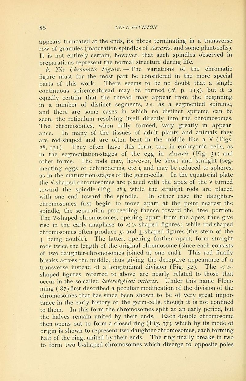 appears truncated at the ends, its fibres terminating in a transverse row of granules (maturation-spindles of Ascaris, and some plant-cells). It is not entirely certain, however, that such spindles observed in preparations represent the normal structure during life. b. The Chromatic Figure. — The variations of the chromatic figure must for the most part be considered in the more special parts of this work. There seems to be no doubt that a single continuous spireme-thread may be formed {cf. p. 113), but it is equally certain that the thread may appear from the beginning in a number of distinct segments, i.e. as a segmented spireme, and there are some cases in which no distinct spireme can be seen, the reticulum resolving itself directly into the chromosomes. The chromosomes, when fully formed, vary greatly in appear- ance. In many of the tissues of adult plants and animals they are rod-shaped and are often bent in the middle Hke a V (Figs. 28, 131). They often have this form, too, in embryonic cells, as in the segmentation-stages of the Qgg in Ascaris (Fig. 31) and other forms. The rods may, however, be short and straight (seg- menting eggs of echinoderms, etc.), and may be reduced to spheres, as in the maturation-stages of the germ-cells. In the equatorial plate the V-shaped chromosomes are placed with the apex of the V turned toward the spindle (Fig. 28), while the straight rods are placed with one end toward the spindle. In either case the daughter- chromosomes first begin to move apart at the point nearest the spindle, the separation proceeding thence toward the free portion. The V-shaped chromosomes, opening apart from the apex, thus give rise in the early anaphase to < >-shaped figures; while rod-shaped chromosomes often produce a- and _L-shaped figures (the stem of the _L being double). The latter, opening farther apart, form straight rods twice the length of the original chromosome (since each consists of two daughter-chromosomes joined at one end). This rod finally breaks across the middle, thus giving the deceptive appearance of a transverse instead of a longitudinal division (Fig. 52). The <>- shaped figures referred to above are nearly related to those that occur in the so-called heterotypical mitosis. Under this name Flem- ming ('87) first described a peculiar modification of the division of the chromosomes that has since been shown to be of very great impor- tance in the early history of the germ-cells, though it is not confined to them. In this form the chromosomes split at an early period, but the halves remain united by their ends. Each double chromosome then opens out to form a closed ring (Fig. 37), which by its mode of origin is shown to represent two daughter-chromosomes, each forming half of the ring, united by their ends. The ring finally breaks in two to form two U-shaped chromosomes which diverge to opposite poles