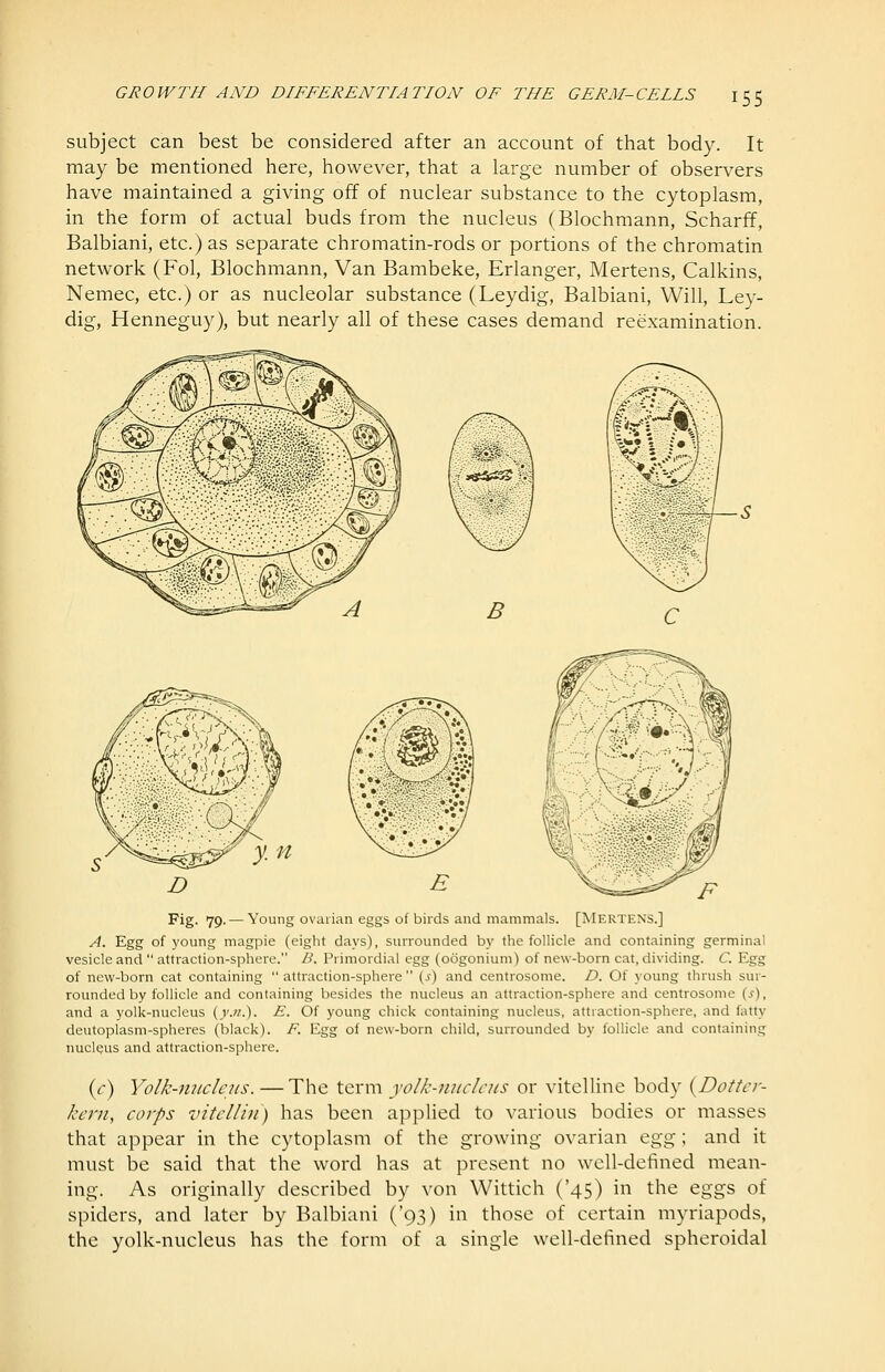 subject can best be considered after an account of that body. It may be mentioned here, however, that a large number of observers have maintained a giving off of nuclear substance to the cytoplasm, in the form of actual buds from the nucleus (Blochmann, Scharff, Balbiani, etc.) as separate chromatin-rods or portions of the chromatin network (Fol, Blochmann, Van Bambeke, Erlanger, Mertens, Calkins, Nemec, etc.) or as nucleolar substance (Leydig, Balbiani, Will, Ley- dig, Henneguy), but nearly all of these cases demand reexamination. B C Fig. 79. — Young ovarian eggs of birds and mammals. [Mertens.] A. Egg of young magpie (eight days), surrounded by the follicle and containing germinal vesicle and  attraction-sphere. B. Primordial egg (oogonium) of new-born cat, dividing. C. Egg of new-born cat containing  attraction-sphere  {s) and centrosome. D. Of young thrush sur- rounded by follicle and containing besides the nucleus an attraction-sphere and centrosome (j), and a yolk-nucleus (j.;/.). E. Of young chick containing nucleus, attraction-sphere, and fatty deutoplasm-spheres (black). F. Egg of new-born cliild, surrounded by follicle and containing nucleus and attraction-sphere. (^) Yolk-nuclcns. —The term yolk-iiuclcus or vitelline body {Dottcr- kern, corps vitclliti) has been applied to various bodies or masses that appear in the cytoplasm of the growing ovarian Q.gg; and it must be said that the word has at present no well-defined mean- ing. As originally described by von Wittich ('45) in the eggs of spiders, and later by Balbiani ('93) in those of certain myriapods, the yolk-nucleus has the form of a single well-defined spheroidal