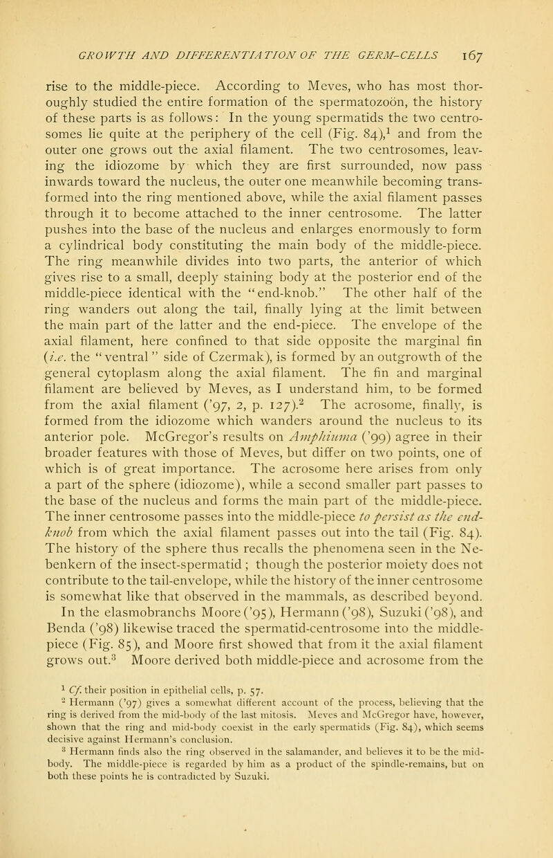 rise to the middle-piece. According to Meves, who has most thor- oughly studied the entire formation of the spermatozoon, the history of these parts is as follows: In the young spermatids the two centro- somes lie quite at the periphery of the cell (Fig. 84),^ and from the outer one grows out the axial filament. The two centrosomes, leav- ing the idiozome by which they are first surrounded, now pass inwards toward the nucleus, the outer one meanwhile becoming trans- formed into the ring mentioned above, while the axial filament passes through it to become attached to the inner centrosome. The latter pushes into the base of the nucleus and enlarges enormously to form a cylindrical body constituting the main body of the middle-piece. The ring meanwhile divides into two parts, the anterior of which gives rise to a small, deeply staining body at the posterior end of the middle-piece identical with the end-knob. The other half of the ring wanders out along the tail, finally lying at the limit between the main part of the latter and the end-piece. The envelope of the axial filament, here confined to that side opposite the marginal fin {i.e. the ventral  side of Czermak), is formed by an outgrowth of the general cytoplasm along the axial filament. The fin and marginal filament are believed by Meves, as I understand him, to be formed from the axial filament ('97, 2, p. 127).^ The acrosome, finally, is formed from the idiozome which wanders around the nucleus to its anterior pole. McGregor's results on AmpJiiinna ('99) agree in their broader features with those of Meves, but differ on two points, one of which is of great importance. The acrosome here arises from only a part of the sphere (idiozome), while a second smaller part passes to the base of the nucleus and forms the main part of the middle-piece. The inner centrosome passes into the middle-piece to persist as the end- knob from which the axial filament passes out into the tail (Fig. 84). The history of the sphere thus recalls the phenomena seen in the Ne- benkern of the insect-spermatid; though the posterior moiety does not contribute to the tail-envelope, while the history of the inner centrosome is somewhat like that observed in the mammals, as described beyond. In the elasmobranchs Moore ('95), Hermann ('98), Suzuki ('98), and Benda ('98) likewise traced the spermatid-centrosome into the middle- piece (Fig. 85), and Moore first showed that from it the axial filament grows out.*^ Moore derived both middle-piece and acrosome from the ^ QC their position in epithelial cells, p. 57. - Hermann ('97) gives a somewhat different account of the process, believing that the ring is derived from the mid-body of the last mitosis. Meves and McGregor have, however, shown that the ring and mid-body coexist in the early spermatids (Fig. 84), which seems decisive against Hermann's conclusion. '^ Hermann finds also the ring observed in the salamander, and believes it to be the mid- body. The middle-piece is regarded by him as a product of the spindle-remains, but on both these points he is contradicted by Suzuki.