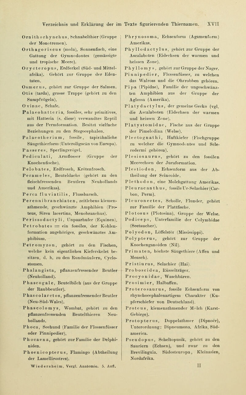 Ornithorhynehus, Schnabelthier (Gruppe der Monotremen). Orthagoriscus (mola), Sonnenfisch, eine Gattung der Gyninodontes (gemässigte und tropische Meere). Orycteropus, Erdferkel (Süd- und Mittel- afrika). Gehört zur Gruppe der Eden- taten. Osmerus, gehört zur Gruppe der Salmen. Otis (tarda), grosse Trappe (gehört zu den Sumpfvögeln). Ovinae, Schafe. Palaeohatteria, fossiles, sehr primitives, mit Hatteria (s. diese) verwandtes Reptil aus der Permformation. Besitzt vielfache Beziehungen zu den Stegocephalen. Palaeotherium, fossile, tapirähnliche Säugethierform (Unteroligocän von Europa). Passeres, Sperlingsvögel. Pediculati, Armflosser (Gruppe der Knochenfische). Pelobates, Erdfrosch, Krötenfrosch. Perameles, Beuteldachs (gehört zu den fleischfressenden Eeutlern Neuhollands und Amerikas). Perca fluviatilis, Flussbarsch. Perennibranchiaten, zeitlebens kiemen- athmende, geschwänzte Amphibien (Pro- teus, Siren lacertina, Menobranchus). Perissodactyli, Unpaarhufer (Equinen). Petrobates = ein fossiles, der Kohlen- formation angehöriges, geschwänztes Am- phibium. Petromyzon, gehört zu den Fischen, welche kein eigentliches Kieferskelet be- sitzen, d. h. zu den Rundmäulern, Cyclo- stomen. Phalangista, pflanzenfressender Beutler (Neuholland). Phascogale, Beutelbilch (aus der Gruppe der Raubbeutler). Phascolarctos, pflanzenfressender Beutler (Neu-Süd-Wales). Phascolomys, Wombat, gehört zu den pflanzenfressenden Beutelthieren Neu- hollands. Phoca, Seehund (Familie der Flossenfüsser oder Pinnipedier). Phocaena, gehört zur Familie der Delphi- niden. Phoenicopterus, Flamingo (Abtheilung der Lamellirostres). Wiedersheim, Vergl. Anatomie. 5. Aufl. Phrynosoma, Echsenform (Agamenform) Amerikas. Phyllodactylus, gehört zur Gruppe der Ascalaboten (Eidechsen der warmen und heissen Zone). P h y 11 o ra y s , gehört zur Gruppe der Nager. Pinnipedier, Flossenfüsser, zu welchen das Walross und die Ohrrobben gehören. Pipa (Pipidae), Familie der ungeschwänz- ten Amphibien aus der Gruppe der Aglossa (Amerika). Platydactylus, der gemeine Gecko (vgl. die Ascalaboten (Eidechsen der warmen und heissen Zone). Platystomidae, Fische aus der Gruppe der Pimelodina (Welse). Pleetognathi, Haftkiefer (Fischgruppe zu welcher die Gymnodontes und Scle- rodermi gehören). Plesiosaurus, gehört zu den fossilen Meerechsen der Juraformation. Plestiodon, Echsenform aus der Ab- theilung der Scincoide. Plethodon, eine Molchgattung Amerikas. Pleuracanthus, fossileUr-Selachier(Car- bon, Perm). Pleuronectes, Scholle, Flunder, gehört zur Familie der Plattfische. PI o tos US (Plotosina), Gruppe der Welse. Podiceps, Unterfamilie der Colymbidae (Seetaucher). Polyodon, LöfFelstör (Mississippi). Polypterus, gehört zur Gruppe der Knochenganoiden (Nil). Primaten, höchste Säugethiere (Affen und Mensch). Pristiurus, Selachier (Hai). Proboscidea, Küsselträger. Procyonidae, Waschbären. Prosimier, Halbaffen. Proterosaurus, fossile Echsenform von rhynchocephalenartigem Charakter (Ku- pferschiefer von Deutschland). Proteus, kiemenathmender Mnlch (Karst- Gebirge). Protopterus, Doppelathmer (Dipnoer), Unterordnung: Dipneumona. Afrika, Süd- america. Pseudopus, Scheltopusik, gehört zu den Sauriern (Echsen), und zwar zu den Brevilinguia. Südosteuropa, Kleinasien, Nordafrika.