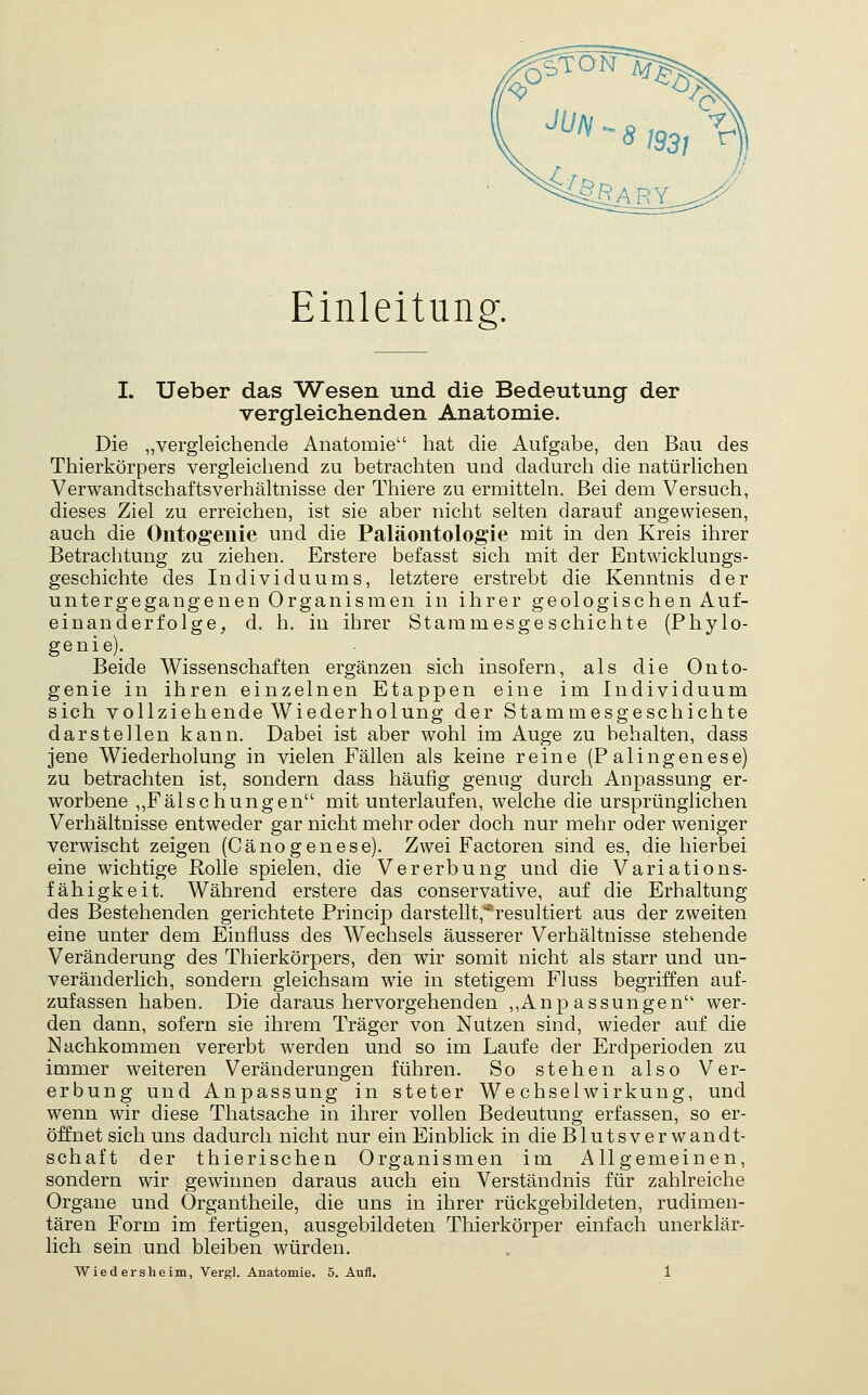 Einleitung. I. Ueber das Wesen und die Bedeutung der vergleichenden Anatomie. Die „vergleichende Anatomie hat die Aufgabe, den Bau des Thierkörpers vergleichend zu betrachten und dadurch die natürlichen Verwandtschaftsverhältnisse der Thiere zu ermitteln. Bei dem Versuch, dieses Ziel zu erreichen, ist sie aber nicht selten darauf angewiesen, auch die Ontogenie und die Paläontologie mit in den Kreis ihrer Betrachtung zu ziehen. Erstere befasst sich mit der Entwicklungs- geschichte des Individuums, letztere erstrebt die Kenntnis der untergegangenen Organismen in ihrer geologischen Auf- einanderfolge, d. h. in ihrer Stammesgeschichte (Phylo- genie). Beide Wissenschaften ergänzen sich insofern, als die Onto- genie in ihren einzelnen Etappen eine im Individuum sich vollziehende Wiederholung der Stammesgeschichte darstellen kann. Dabei ist aber wohl im Auge zu behalten, dass jene Wiederholung in vielen Fällen als keine reine (P alingenese) zu betrachten ist, sondern dass häufig genug durch Anpassung er- worbene ,,Fälschungen mit unterlaufen, welche die ursprünglichen Verhältnisse entweder gar nicht mehr oder doch nur mehr oder weniger verwischt zeigen (Cänogenese). Zwei Factoren sind es, die hierbei eine wichtige Rolle spielen, die Vererbung und die Variations- fähigkeit. Während erstere das conservative, auf die Erhaltung des Bestehenden gerichtete Princip darstellt,'resultiert aus der zweiten eine unter dem Einfluss des Wechsels äusserer Verhältnisse stehende Veränderung des Thierkörpers, den wir somit nicht als starr und un- veränderlich, sondern gleichsam wie in stetigem Fluss begriffen auf- zufassen haben. Die daraus hervorgehenden ,,Anj)assungen wer- den dann, sofern sie ihrem Träger von Nutzen sind, wieder auf die Nachkommen vererbt werden und so im Laufe der Erdperioden zu immer weiteren Veränderungen führen. So stehen also Ver- erbung und Anpassung in steter Wechselwirkung, und wenn wir diese Thatsache in ihrer vollen Bedeutung erfassen, so er- öffnet sieh uns dadurch nicht nur ein Einblick in die Blutsverwandt- schaft der thierischen Organismen im Allgemeinen, sondern wir gewinnen daraus auch ein Verständnis für zahlreiche Organe und Organtheile, die uns in ihrer rückgebildeten, rudimen- tären Form im fertigen, ausgebildeten Thierkörper einfach unerklär- lich sein und bleiben würden,