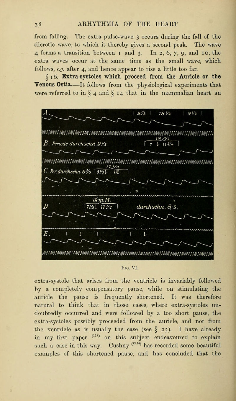 from falling. The extra pulse-wave 3 occurs during the fall of the dicrotic wave, to which it thereby gives a second peak. The wave 4 forms a transition between i and 3. In 2, 6, 7, 9, and 10, the extra waves occur at the same time as the small wave, which follows, e.g. after 4, and hence appear to rise a little too far. § 16. Extra-systoles which proceed from the Auricle or the Venous Ostia—It follows from the physiological experiments that were referred to in S 4 and S 14 that in the mammalian heart an 9Vz I 78V4- \ 9Vt- JMaWMViBli R. Pcriode durchschn.Q'/a mmmmmmmhwmnmmmmmm 1R ,3yM. i 7 I n^U I CPerdurchschnS-Vs \ SVjI 1Z \ Wm.M. durchschn. 8-5. MJwmf\AMmf\MAjmiw^ Fig. VI. extra-systole that arises from the ventricle is invariably followed by a completely compensatory pause, while on stimulating the auricle the pause is frequently shortened. It was therefore natural to think that in those cases, where extra-systoles un- doubtedly occurred and Avere followed by a too short pause, the extra-systoles possibly proceeded from the auricle, and not from the ventricle as is usually the case (see § 25). I have already in my first paper ^^^^^ on this subject endeavoured to explain such a case in this way. Cushny ^^^^ has recorded some beautiful examples of this shortened pause, and has concluded that the