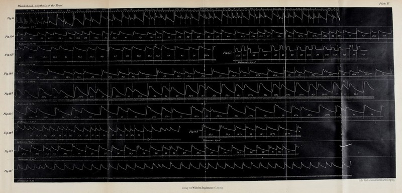 FiffM. Fig.na /..■illlliis Fiff.ni -'1 Fiff.lSfi Fiff.m la'', I I'l,.-. 211 236 23 'lO I 'i2 30 23 38 I 30 22,s 39 2S,s 22,S \ 'it,s 2. :n;rii!niimmmiiiimmmiMmi)-iMniiBJismii:«™inimmir:' 1/W. ;/v /6',.> i I'l.s 2(1 JC'ti IS,i ii\mwMm\m3\\\mm\m\]\\''i' fN' ! 26' Vi^l jlWuVilffllfflfflilrai iiiiimiiiiuutii rcffli^ffiimimffiT y.eitiiiass: 0,0'i. IG.s I 1'^ i 27,s ! ^4,. !lffiBB!Ba?Mfflinu^Sv!!!!wvMT n III 2x.i O/NrO^ 1 V mm\ FtffJS.i Fig. 18.^ \ Fig.18X l.i :ui.; LH.s 2i!..! IX 13 : J ^i i 1 IS-a \ \n \ 1 f : j 9 1 I /CH 1 SQi 23 n i « i 20 I 21 \ 2s : n ui't' 29 27,S 23,s 16t'1 IS Id ! n^/» I !'■■''» [ ZiHina.<ix O.u'i. J^.^ K K. \fu i/u 26 2G i Id l-> \ 29 (V IV K, IK i/V, ^  I -.•(,■■ -,- - \ ^ 1 Fiff.lS.f lath Ai\st.Julius n-mkhajdt Leipzig Verlag vou'WiUielm Engdmaim inLeipzig.