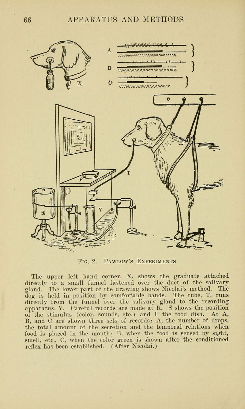 ,\\ vwv\^^^^\\\ ^x^\^^^ v, \ Jl/l/lAnAA/VVVUVVVUUlAA/lAAP'VA/in. \ V W \ W \A B aAAAAAAAAAAA/V\AArVVVU\JV- WW U 1 \ .. . . lAAAAAAJVUin/UUVVAA/VVtr Fig. 2. Pawlow's Experiments The upper left hand corner, X, shows the graduate attached directly to a small funnel fastened over the duct of the salivary gland. The lower part of the drawing shows Nicolai's method. The dog is held in position by comfortable bands. The tube, T, runs directly from the funnel over the salivary gland to the recording apparatus, Y. Careful records are made at R. S shows the position of the stimulus (color, sounds, etc.) and F the food dish. At A, B, and C are shown three sets of records: A, the number of drops, the total amount of the secretion and the temporal relations when food is placed in the mouth; B, when the food is sensed by sight, smell, etc., C, when the color green is shown after the conditioned reflex has been established. (After Nicolai.)