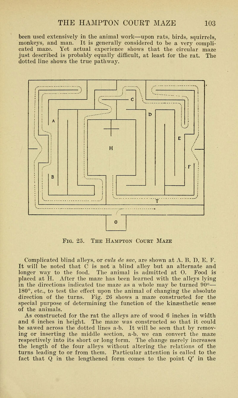 been used extensively in the animal work—upon rats, birds, squirrels, monkeys, and man. It is generally considered to be a very compli- cated maze. Yet actual experience shows that the circular maze just described is probably equally difficult, at least for the rat. The dotted line shows the true pathway. Fig. 25. The Hampton Court Maze Complicated blind alleys, or culs de sac, are shown at A, B, D, E, F. It will be noted that C is not a blind alley but an alternate and longer way to the food. The animal is admitted at 0. Food is placed at H. After the maze has been learned with the alleys lying in the directions indicated tne maze as a whole may be turned 90°— 180°, etc., to test the effect upon the animal of changing the absolute direction of the turns. Fig. 26 shows a maze constructed for the special purpose of determining the function of the kinsesthetie sense of the animals. As constructed for the rat the alleys are of wood 6 inches in width and 6 inches in height. The maze was constructed so that it could be sawed across the dotted lines a-b. It will be seen that by remov- ing or inserting the middle section, a-b, we can convert the maze respectively into its short or long form. The change merely increases the length of the four alleys without altering the relations of the turns leading to or from them. Particular attention is called to the fact that Q in the lengthened form comes to the point Q' in the