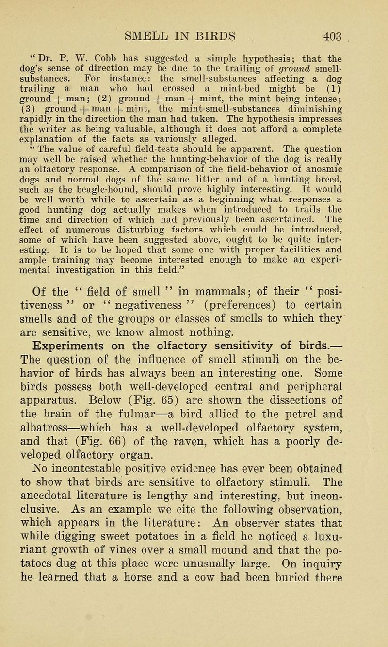  Dr. P. W. Cobb has suggested a simple hypothesis; that the dog's sense of direction may be due to the trailing of ground smell- substances. For instance: the smell-substances affecting a dog trailing a man who had crossed a mint-bed might be (1) ground -|- man; (2) ground -j- man -\- mint, the mint being intense; (3) ground-|-man-|-mint, the mint-smell-substances diminishing rapidly in the direction the man had taken. The hypothesis impresses the writer as being valuable, although it does not afford a complete explanation of the facts as variously alleged.  The value of careful field-tests should be apparent. The question may well be raised whether the hunting-behavior of the dog is really an olfactory response. A comparison of the field-behavior of anosmic dogs and normal dogs of the same litter and of a hunting breed, such as the beagle-hound, should prove highly interesting. It would be well worth while to ascertain as a beginning what responses a good hunting dog actually makes when introduced to trails the time and direction of which had previously been ascertained. The effect of numerous disturbing factors which could be introduced, some of which have been suggested above, ought to be quite inter- esting. It is to be hoped that some one with proper facilities and ample training may become interested enough to make an experi- mental investigation in this field. Of the '' field of smell '' in mammals; of their *' posi- tiveness  or *' negativeness '^ (preferences) to certain smells and of the groups or classes of smells to which they are sensitive, we know almost nothing. Experiments an the olfactory sensitivity of birds.— The question of the influence of smell stimuli on the be- havior of birds has always been an interesting one. Some birds possess both well-developed central and peripheral apparatus. Below (Fig. 65) are shown the dissections of the brain of the fulmar—a bird allied to the petrel and albatross—which has a well-developed olfactory system, and that (Fig. 66) of the raven, which has a poorly de- veloped olfactory organ. No incontestable positive evidence has ever been obtained to show that birds are sensitive to olfactory stimuli. The anecdotal literature is lengthy and interesting, but incon- clusive. As an example we cite the following observation, which appears in the literature: An observer states that while digging sweet potatoes in a field he noticed a luxu- riant growth of vines over a small mound and that the po- tatoes dug at this place were unusually large. On inquiry he learned that a horse and a cow had been buried there