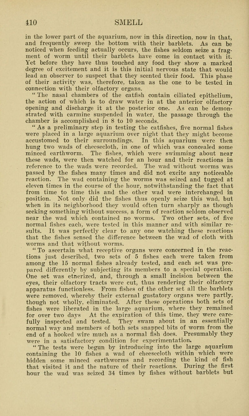 in the lower part of the aquarium, now in this direction, now in that, and frequently sweep the bottom with their barblets. As can be noticed when feeding actually occurs, the fishes seldom seize a frag- ment of worm until their Jbarblets have come in contact with it. Yet before they have thus touched any food they show a marked degree of excitement and it is this initial nervous state that would lead an observer to suspect that they scented their food. This phase of their activity was, therefore, taken as the one to be tested in connection with their olfactory organs.  The nasal chambers of the catfish contain ciliated epithelium, the action of which is to draw water in at the anterior olfactory opening and discharge it at the posterior one. As can be demon- strated with carmine suspended in water, the passage through the chamber is accomplished in 8 to 10 seconds.  As a preliminary step in testing the catfishes, five normal fishes were placed in a large aquarium over night that they might become accustomed to their surroundings. In this aquarium were then hung two wads of cheesecloth, in one of which was concealed some minced earthworm. The fishes, which were swimming about near these wads, were then watched for an hour and their reactions in reference to the wads were recorded. The wad without worms was passed by the fishes many times and did not excite any noticeable reaction. The wad containing the worms was seized and tugged at eleven times in the course of the hour, notwithstanding the fact that from time to time this and the other wad were interchanged in position. Not only did the fishes thus openly seize this wad, but when in its neighborhood they would often turn sharply as though seeking something without success, a form of reaction seldom observed near the wad which contained no worms. Two other sets, of five normal fishes each, were tested in this manner and with similar re- sults. It was perfectly clear to any one watching these reactions that the fishes sensed the difference between the wad of cloth with worms and that without worms.  To ascertain what receptive organs were concerned in the reac- tions just described, two sets of 5 fishes each were taken from among the 15 normal fishes already tested, and each set was pre- pared differently by subjecting its members to a special operation. One set was etnerized, and, through a small incision between the eyes, their olfactory tracts were cut, thus rendering their olfactory apparatus functionless. From fishes of the other set all the barblets were removed, whereby their external gustatory organs were partly, though not wholly, eliminated. After these operations both sets of fishes were liberated in the large aquarium, where they remained for over two days At the expiration of this time, they were care- fully inspected and tested. They swam about in an essentially normal way and members of both sets snapped bits of worm from the end of a hooked wire much as a normal fish does. Presumably they were in a satisfactory condition for experimentation,  The tests were begun by introducing into the large aquarium containing the 10 fishes a wad of cheesecloth within which were hidden some minced earthworms and recording the kind of fish that visited it and the nature of their reactions. During the first hour the wad was seized 34 times by fishes without barblets but