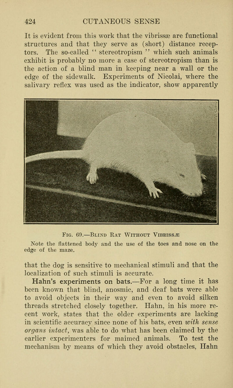 It is evident from this work that the vibrissae are functional structures and that they serve as (short) distance recep- tors. The so-called  stereotropism  which such animals exhibit is probably no more a case of stereotropism than is the action of a blind man in keeping near a wall or the edge of the sidewalk. Experiments of Nicolai, where the salivary reflex was used as the indicator, show apparently Fig. 69.—Blind Rat Without Vibrissa Note the flattened body and the use of the toes and nose on the edge of the maze. that the dog is sensitive to mechanical stimuli and that the localization of such stimuli is accurate. Hahn's experiments on bats.—For a long time it has been known that blind, anosmic, and deaf bats were able to avoid objects in their way and even to avoid silken threads stretched closely together. Hahn, in his more re- cent work, states that the older experiments are lacking in scientific accuracy since none of his bats, even with sense organs intact, was able to do what has been claimed by the earlier experimenters for maimed animals. To test the mechanism by means of which they avoid obstacles, Hahn