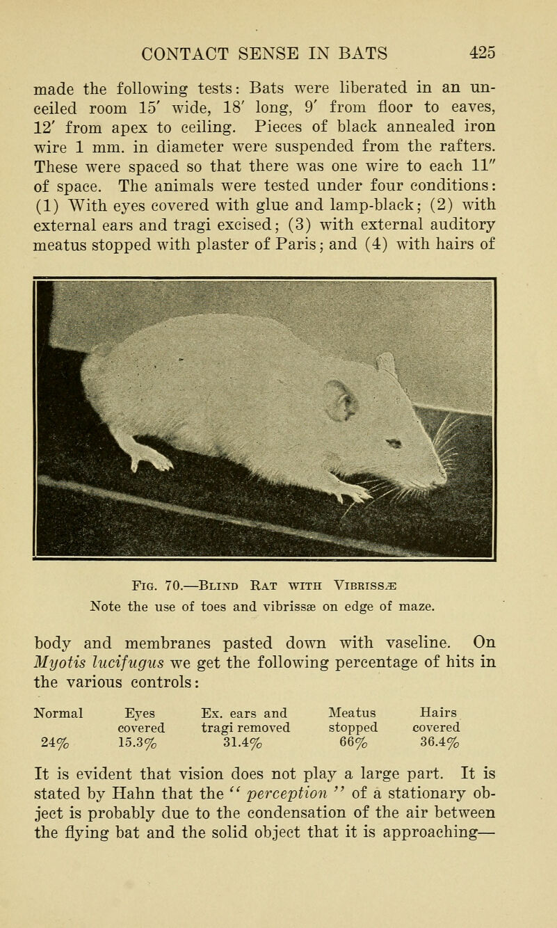 made the following tests: Bats were liberated in an un- ceiled room 15' wide, 18' long, 9' from floor to eaves, 12' from apex to ceiling. Pieces of black annealed iron wire 1 mm. in diameter were suspended from the rafters. These were spaced so that there was one wire to each 11 of space. The animals were tested under four conditions: (1) With eyes covered with glue and lamp-black; (2) with external ears and tragi excised; (3) with external auditory meatus stopped with plaster of Paris; and (4) with hairs of Fig. 70.—Blind Rat with Vibrissa Note the use of toes and vibrissse on edge of maze. body and membranes pasted down with vaseline. On Myotis lucifugus we get the following percentage of hits in the various controls: Normal 24% It is evident that vision does not play a large part. It is stated by Hahn that the ^' perception ^^ of a stationary ob- ject is probably due to the condensation of the air between the flying bat and the solid object that it is approaching— Eyes Ex. ears and Meatus Hairs covered tragi removed stopped covered 15.3% 31.4% 66% 36.4%