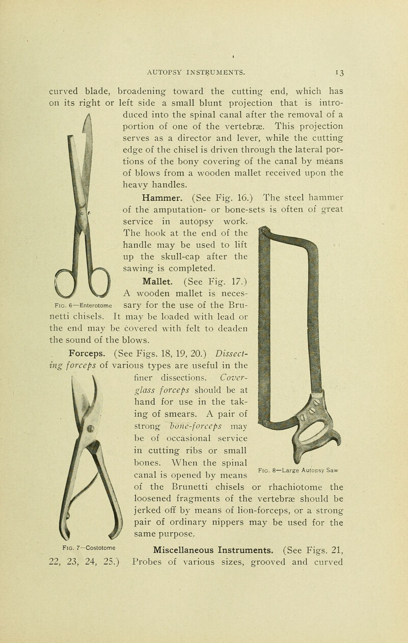 curved blade, broadening toward the cutting end, which has on its right or left side a small blunt projection that is intro- duced into the spinal canal after the removal of a portion of one of the vertebrae. This projection serves as a director and lever, while the cutting edge of the chisel is driven through the lateral por- tions of the bony covering of the canal by means of blows from a wooden mallet received upon the heavy handles. Hammer. (See Fig. 16.) The steel hammer of the amputation- or bone-sets is often of great service in autopsy work. The hook at the end of the handle may be used to lift up the skull-cap after the sawing is completed. Mallet. (See Fig. 17.) A wooden mallet is neces- fig. 6—Enterotome sary for the use of the Bru- netti chisels. It may be loaded with lead or the end may be covered with felt to deaden the sound of the blows. Forceps. (See Figs. 18, 19,20.) Dissect- ing forceps of various types are useful in the finer dissections. Cover- glass forceps should be at hand for use in the tak- ing of smears. A pair of strong bone-forceps may be of occasional service in cutting ribs or small bones. When the spinal canal is opened by means of the Brunetti chisels or rhachiotome the loosened fragments of the vertebrae should be jerked off by means of lion-forceps, or a strong pair of ordinary nippers may be used for the same purpose. Fig. 8—Large Autopsy Saw Fig. 7—Costotome 22, 23, 24, 25.) Miscellaneous Instruments. (See Figs. 21, Probes of various sizes, grooved and curved