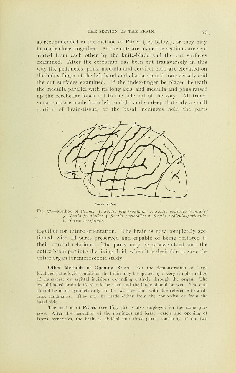 as recommended in the method of Pitres (see'below), or they may be made closer together. As the cuts are made the sections are sep- arated from each other b}^ the knife-blade and the cut surfaces examined. After the cerebrum has been cut transversely in this way the peduncles, pons, medulla and cervical cord are elevated on the index-finger of the left hand and also sectioned transversely and the cut surfaces examined. If the index-finger be placed beneath the medulla parallel with its long axis, and medulla and pons raised up the cerebellar lobes fall to the side out of the way. All trans- verse cuts are made from left to right and so deep that only a small portion of brain-tissue, or the basal meninges hold the parts Fossa Sylvi'i Fig. 30.—Method of Pitres. 1, Sectio prce-frontalis; 2, Sectio pediculo-frontalis; 3, Sectio frontalis; 4, Sectio parietalis; 5, Sectio pediculo-parietalis; 6, Sectio occipitalis. together for future orientation. The brain is now completely sec- tioned, with all parts preserved and capable of being restored to their normal relations. The parts may be re-assembled and the entire brain put into the fixing fluid, when it is desirable to save the entire organ for microscopic study. Other Methods of Opening Brain. For the demonstration of large localized pathologic conditions the brain may be opened by a very simple method of transverse or sagittal incisions extending entirely through the organ. The broad-bladed brain-knife should be used and the blade should be wet. The cuts should be made symmetrically on the two' sides and with due reference to anat- omic landmarks. They may be made either from the convexity or from the basal side. The method of Pitres (see Fig. 30) is also employed for the same pur- pose. After the inspection of the meninges and basal vessels and opening of lateral ventricles, the brain is divided into three parts, consisting of the two