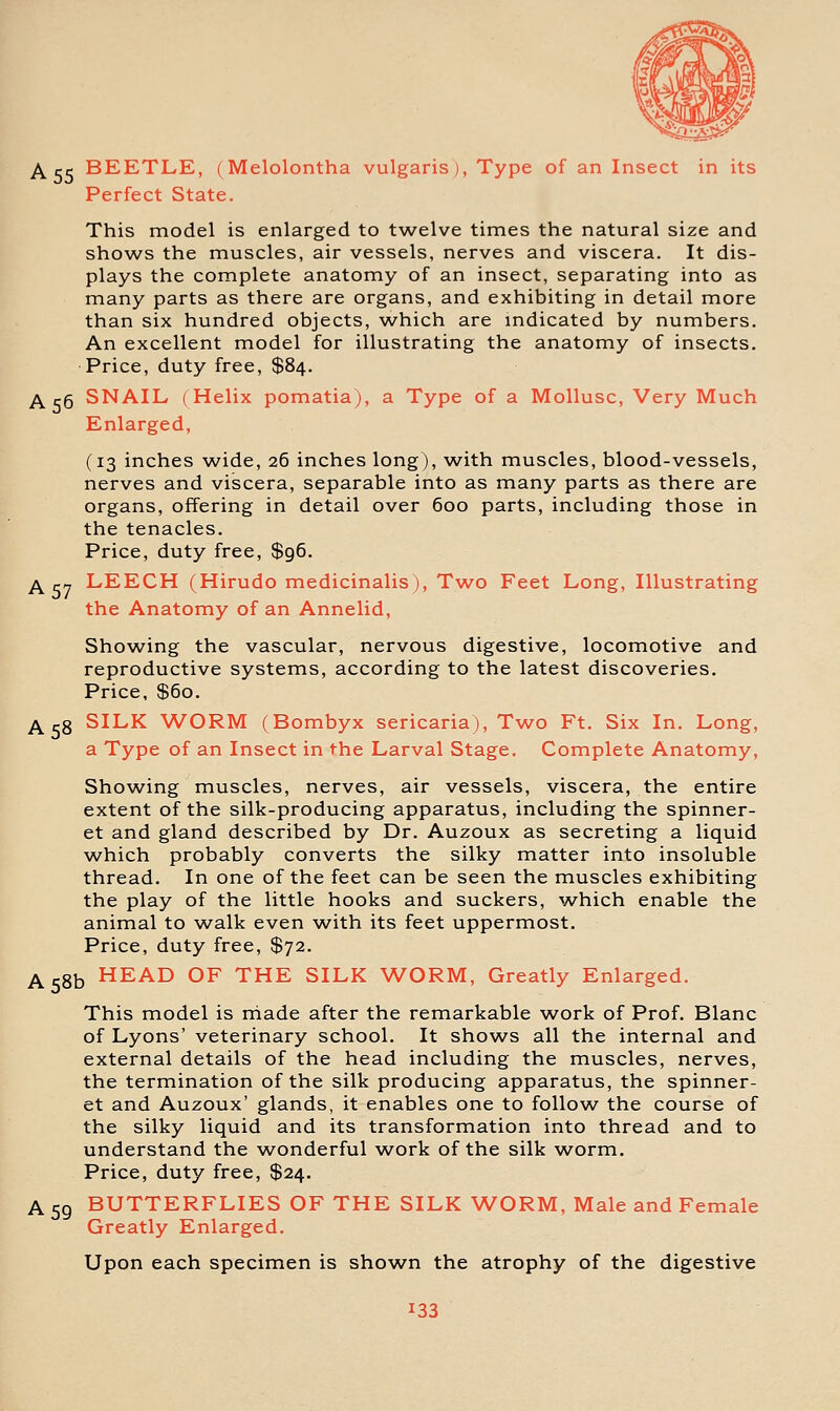 A 55 BEETLE, (Melolontha vulgaris), Type of an Insect in its Perfect State. This model is enlarged to twelve times the natural size and shows the muscles, air vessels, nerves and viscera. It dis- plays the complete anatomy of an insect, separating into as many parts as there are organs, and exhibiting in detail more than six hundred objects, w^hich are indicated by numbers. An excellent model for illustrating the anatomy of insects. Price, duty free, $84. ^ c6 SNAIL (Helix pomatia), a Type of a Mollusc, Very Much Enlarged, (13 inches wide, 26 inches long), with muscles, blood-vessels, nerves and viscera, separable into as many parts as there are organs, offering in detail over 600 parts, including those in the tenacles. Price, duty free, $96. p^ rj LEECH (Hirudo medicinalis), Two Feet Long, Illustrating the Anatomy of an Annelid, Showing the vascular, nervous digestive, locomotive and reproductive systems, according to the latest discoveries. Price, $60. A 58 SILK WORM (Bombyx sericaria). Two Ft. Six In. Long, a Type of an Insect in the Larval Stage. Complete Anatomy, Showing muscles, nerves, air vessels, viscera, the entire extent of the silk-producing apparatus, including the spinner- et and gland described by Dr. Auzoux as secreting a liquid which probably converts the silky matter into insoluble thread. In one of the feet can be seen the muscles exhibiting the play of the little hooks and suckers, w^hich enable the animal to walk even with its feet uppermost. Price, duty free, $72. ^jSb HEAD OF THE SILK WORM, Greatly Enlarged. This model is rriade after the remarkable v/ork of Prof. Blanc of Lyons' veterinary school. It shows all the internal and external details of the head including the muscles, nerves, the termination of the silk producing apparatus, the spinner- et and Auzoux' glands, it enables one to follow^ the course of the silky liquid and its transformation into thread and to understand the wonderful work of the silk worm. Price, duty free, $24. A 59 BUTTERFLIES OF THE SILK WORM, Male and Female Greatly Enlarged. Upon each specimen is shown the atrophy of the digestive