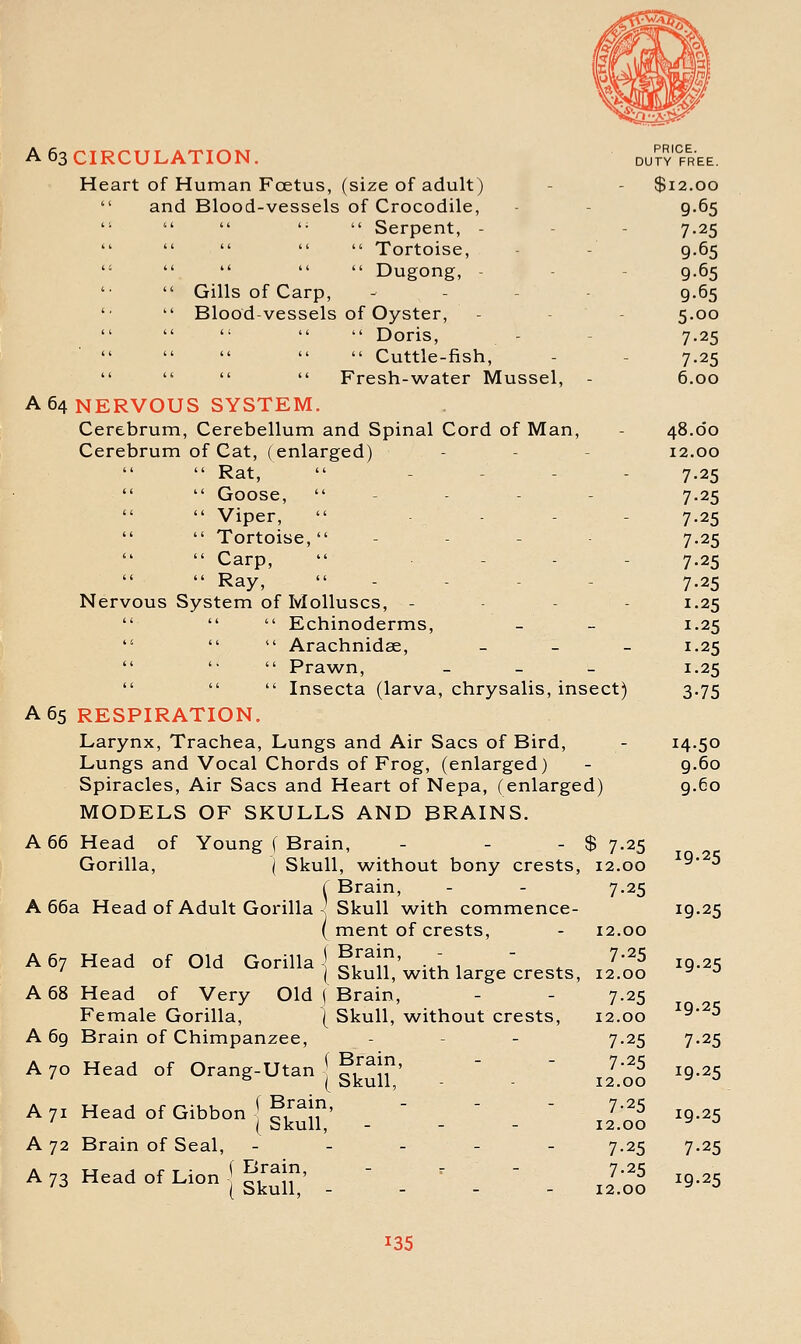 A 63 CIRCULATION. dutyTree. Heart of Human Foetus, (size of adult) - - $12.00  and Blood-vessels of Crocodile, - - 9.65   '•  Serpent, - - - 7.25      Tortoise, - - g.65  Dugong, - - - g.65 '•  Gills of Carp, ^ . . . g.65 '•  Blood-vessels of Oyster, - - - 5.00   '■   Doris, - - 7.25  Cuttle-fish, - - 7.25     Fresh-water Mussel, - 6.00 A 64 NERVOUS SYSTEM. Cerebrum, Cerebellum and Spinal Cord of Man, - 48.00 Cerebrum of Cat, (enlarged) - - - 12.00  Rat,  . _ . . 7.25   Goose,  - - - - 7.25   Viper,  .... 7.25   Tortoise, - - . . 7.25  Carp,  - - - 7.25  Ray,  . . . . 7.25 Nervous System of Molluscs, - - - - 1.25    Echinoderms, - - 1.25    Arachnidse, _ _ _ 1.25  '•  Prawn, _ _ _ 1.25    Insecta (larva, chrysalis, insect) 3.75 A 65 RESPIRATION. Larynx, Trachea, Lungs and Air Sacs of Bird, - 14-50 Lungs and Vocal Chords of Frog, (enlarged) - 9.60 Spiracles, Air Sacs and Heart of Nepa, (enlarged) g.6o MODELS OF SKULLS AND BRAINS. A 66 Head of Young f Brain, - - - $ 7.25 Gorilla, ] Skull, without bony crests, 12.00 r Brain, - - 7.25 A 66a Head of Adult Gorilla - Skull with commence- ( ment of crests, A 67 Head of Old Gorilla \ ?/^;P' -,, ,  ^ I Skull, with large crests, A 68 Head of Very Old ( Brain, Female Gorilla, ( Skull, without crests, A 6g Brain of Chimpanzee, A 70 Head of Orang-Utan | gkuU ' A 71 Head of Gibbon [ ^i^^lf' { Skull, - - - A 72 Brain of Seal, ----- A 73 Head of Lion ( Brain, ( Skull, 12.00 7-25 12.00 7-25 12.00 7-25 7-25 12.00 7-25 12.00 7-25 7-25 12.00 19.25 19-25 19.25 19.25 7-25 19.25 19-25 7-25 ig.25