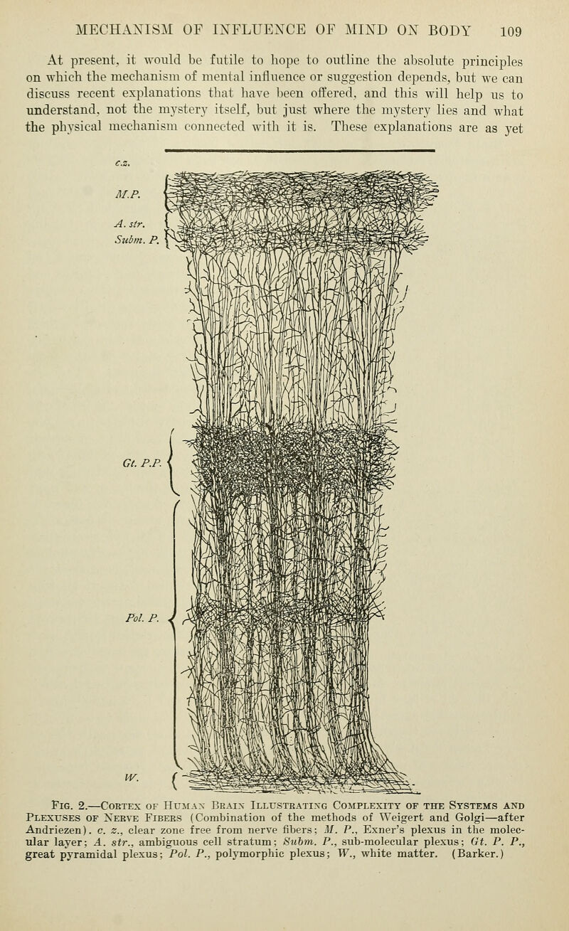 At present, it would be futile to hope to outline the absolute principles on which the mechanism of mental influence or suggestion depends, but we can discuss recent explanations that have been offered, and this will help us to understand, not the mystery itself, but just where the mystery lies and what the physical mechanism connected with it is. These explanations are as yet Pol. p. Fig. 2.—Coetex of Human Bkaix Illustrating Complexity of the Systems and Plexuses of Nerve Fibees (Combination of the methods of Weigert and Golgi—after Andriezen). c. z., clear zone free from nerve fibers; M. P., Exner's plexus in the molec- ular layer; A. str., ambiguous cell stratum; Subm. P., sub-molecular plexus; Gt. P. P., great pyramidal plexus; Pol. P., polymorphic plexus; W., white matter. (Barker.)