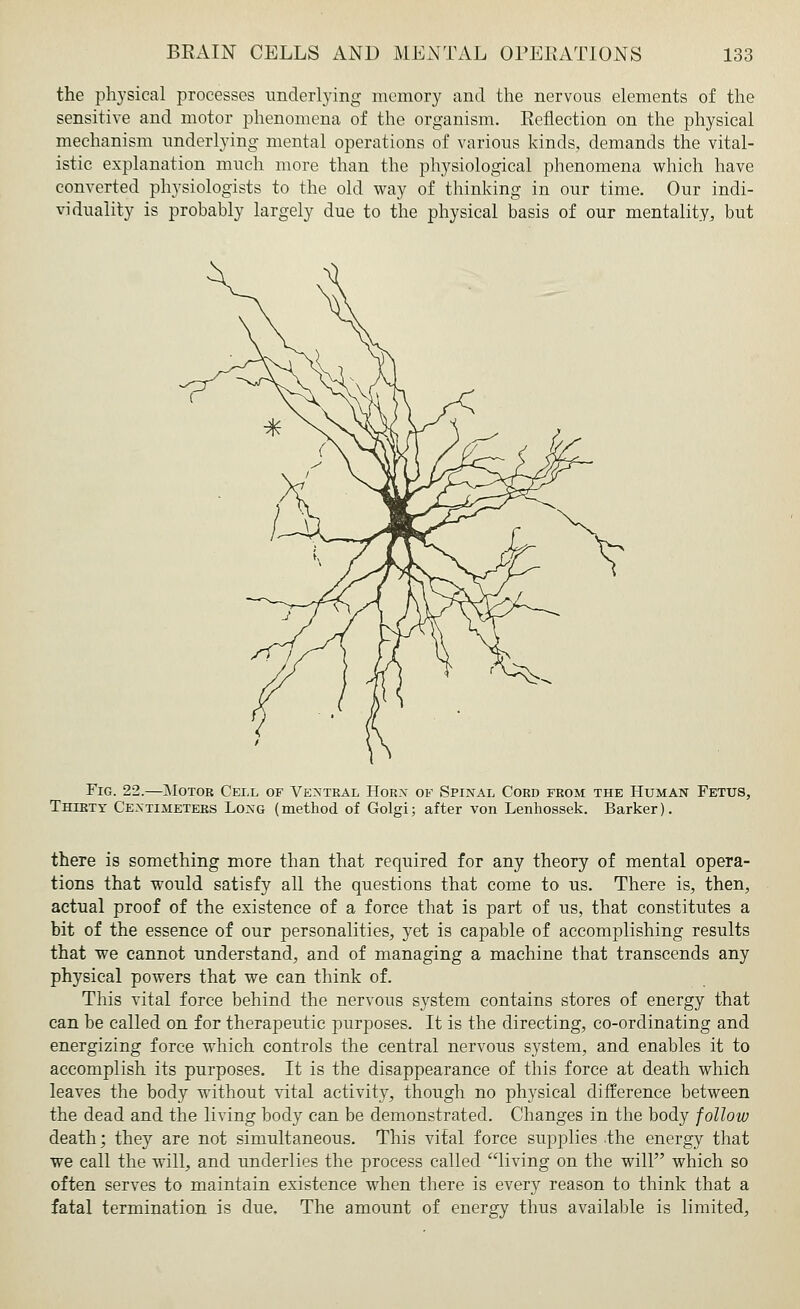 the physical processes underlying memory and the nervous elements of the sensitive and motor phenomena of the organism. Eeflection on the physical mechanism underlying mental operations of various kinds, demands the vital- istic explanation much more than the physiological phenomena which have converted physiologists to the old way of thinking in our time. Our indi- viduality is probably largely due to the physical basis of our mentality, but Fig. 22.—Motor Cell of Ventral Horx of Spinal Cord from the Human Fetus, Thirty Centimeters Long (method of Golgi; after von Lenhossek. Barker). there is something more than that required for any theory of mental opera- tions that would satisfy all the questions that come to us. There is, then, actual proof of the existence of a force that is part of us, that constitutes a bit of the essence of our personalities, yet is capable of accomplishing results that we cannot understand, and of managing a machine that transcends any physical powers that we can think of. This vital force behind the nervous system contains stores of energy that can be called on for therapeutic purposes. It is the directing, co-ordinating and energizing force which controls the central nervous system, and enables it to accomplish its purposes. It is the disappearance of this force at death which leaves the body without vital activity, though no physical difference between the dead and the living body can be demonstrated. Changes in the body follow death; they are not simultaneous. This vital force supplies the energy that we call the will, and underlies the process called living on the will which so often serves to maintain existence when there is every reason to think that a fatal termination is due. The amount of energy thus available is limited,